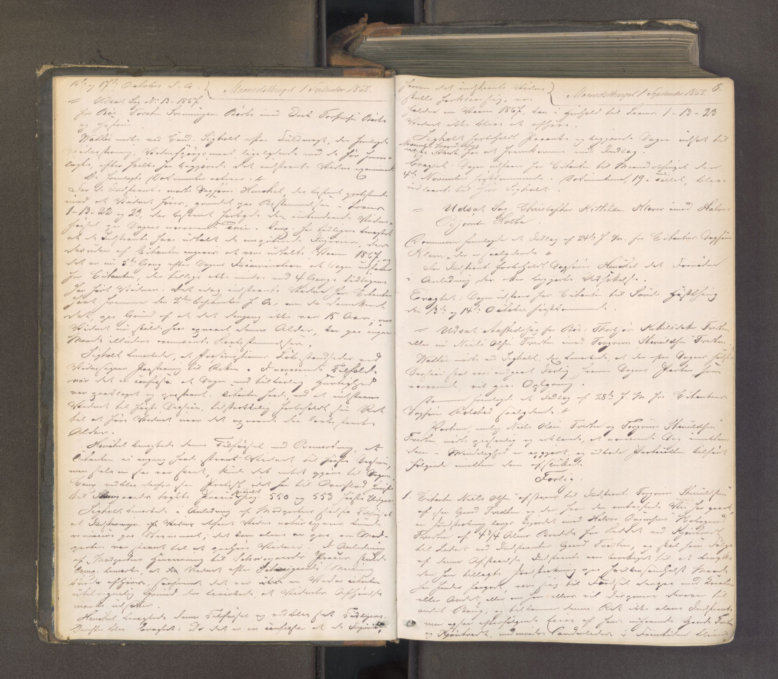 Nedre Telemark sorenskriveri, AV/SAKO-A-135/F/Fa/L0048: Tingbok, 1868-1875, s. 7b-8a