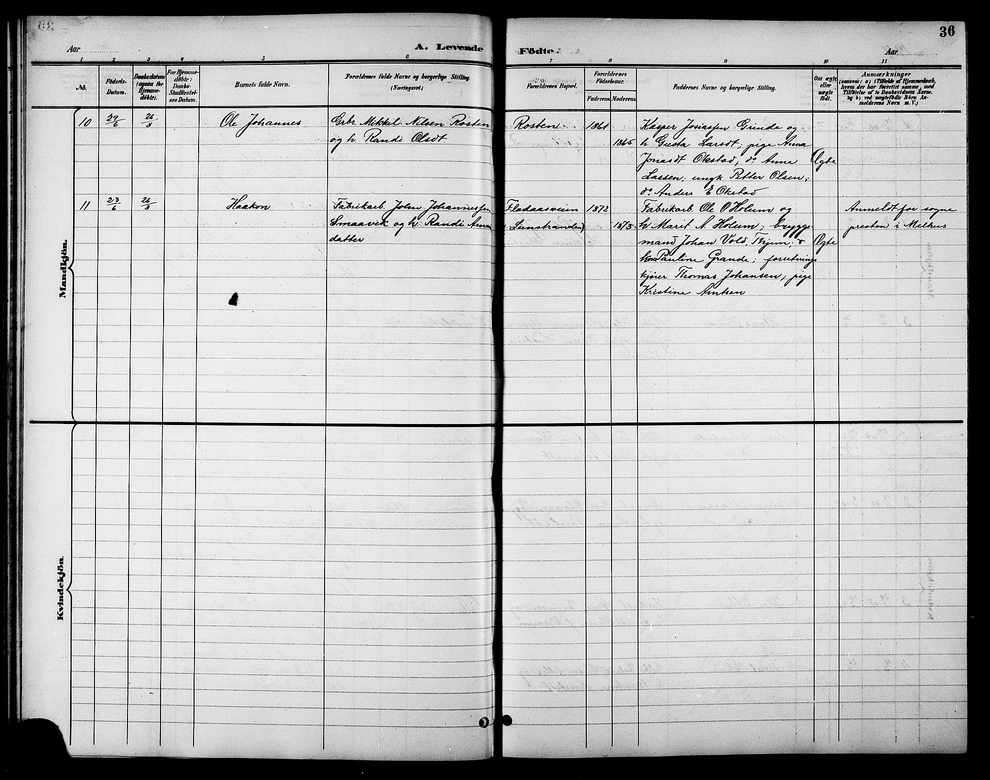 Ministerialprotokoller, klokkerbøker og fødselsregistre - Sør-Trøndelag, SAT/A-1456/621/L0460: Klokkerbok nr. 621C03, 1896-1914, s. 36