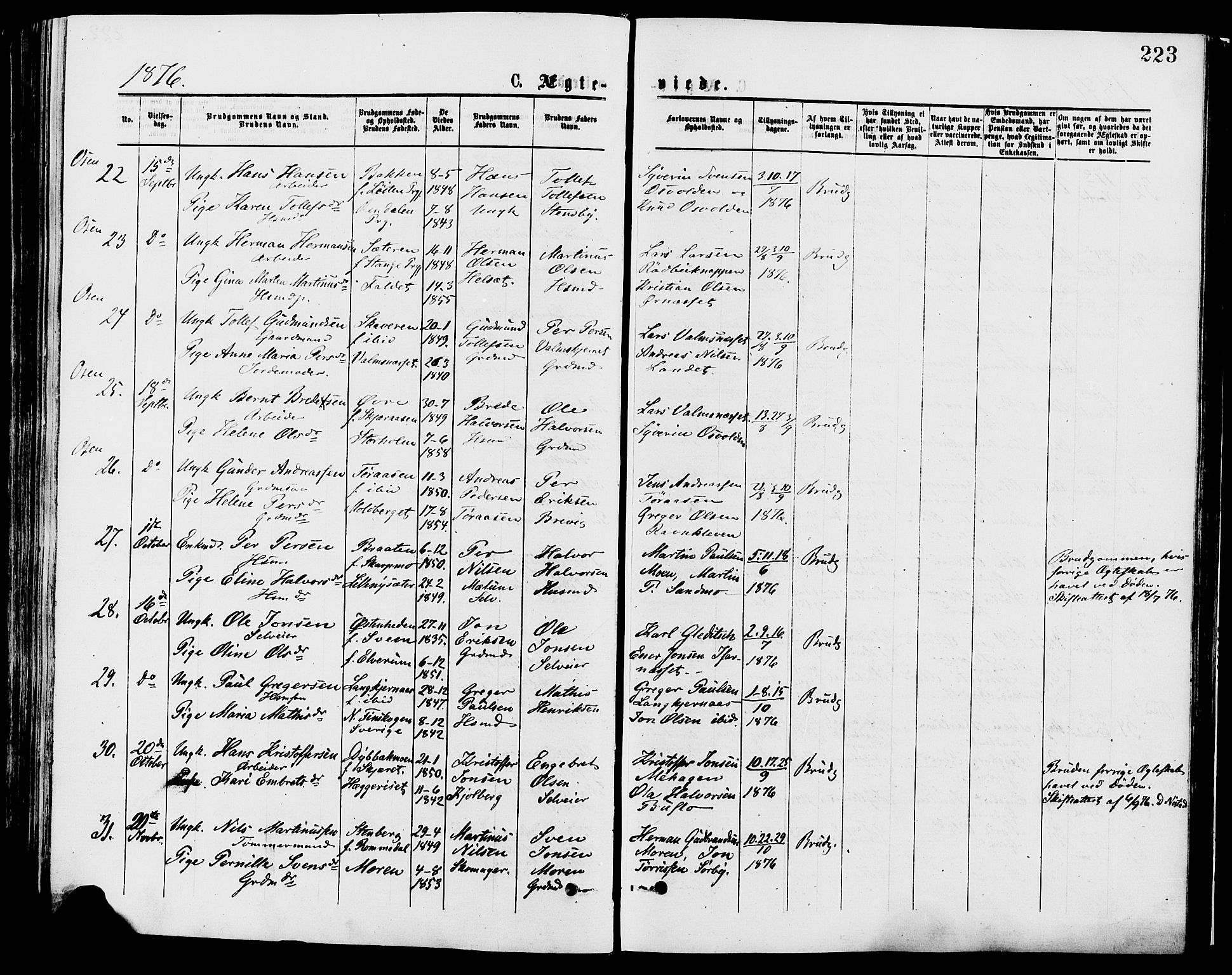 Trysil prestekontor, AV/SAH-PREST-046/H/Ha/Haa/L0007: Ministerialbok nr. 7, 1874-1880, s. 223