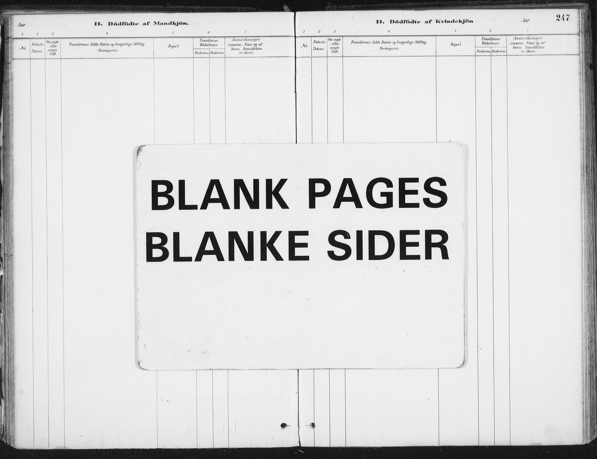 Ministerialprotokoller, klokkerbøker og fødselsregistre - Nordland, AV/SAT-A-1459/838/L0552: Ministerialbok nr. 838A10, 1880-1910, s. 247