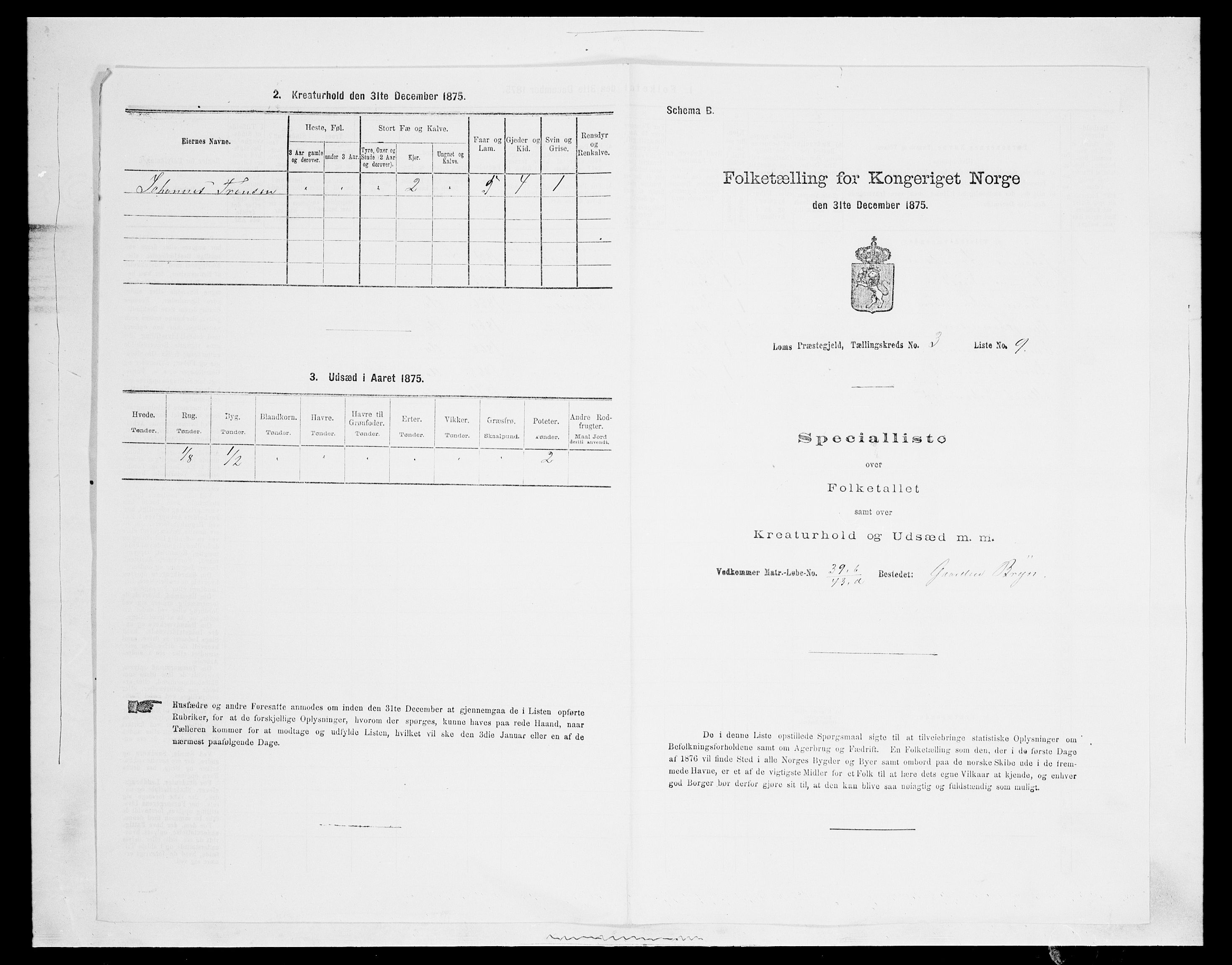 SAH, Folketelling 1875 for 0514P Lom prestegjeld, 1875, s. 425