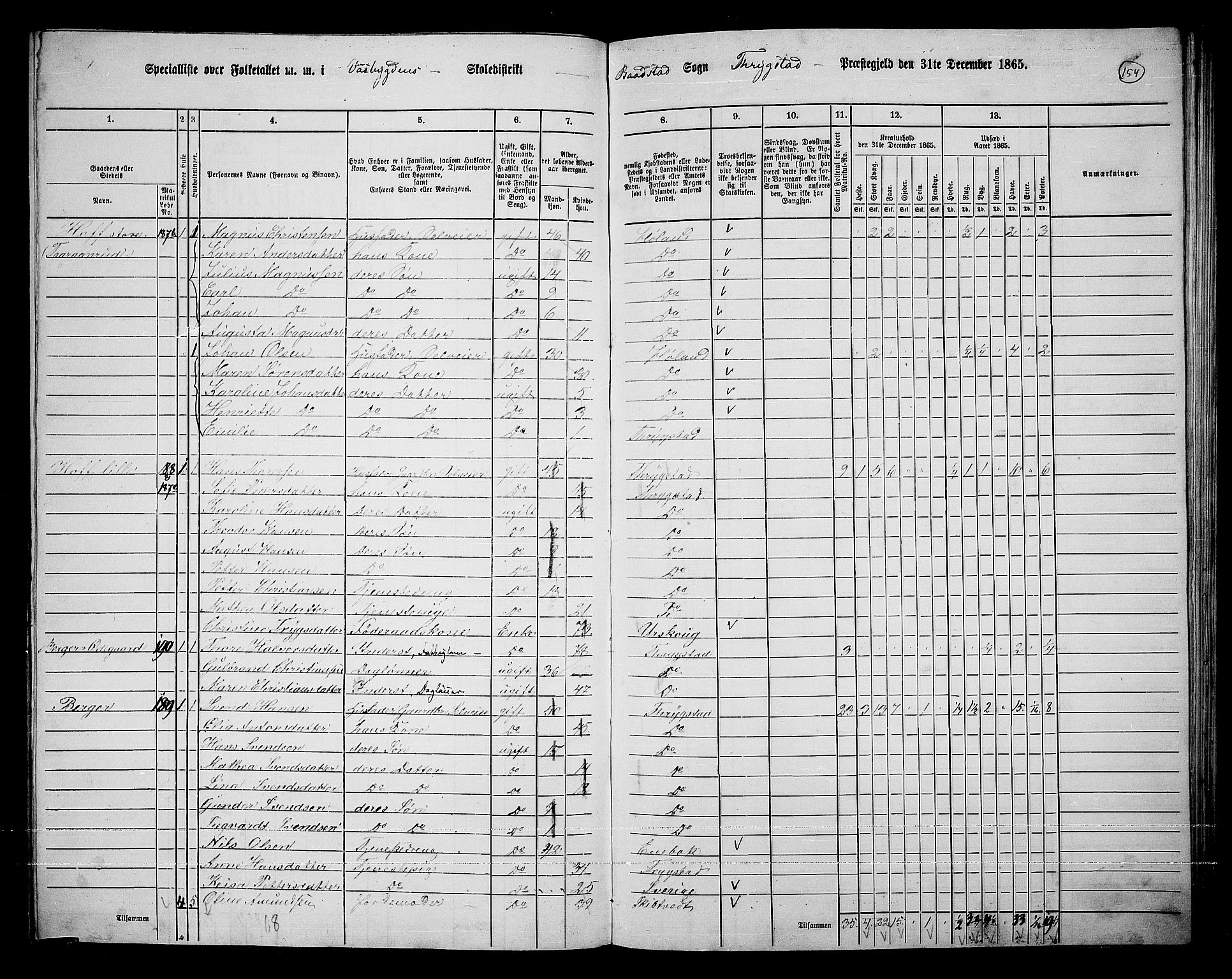 RA, Folketelling 1865 for 0122P Trøgstad prestegjeld, 1865, s. 134