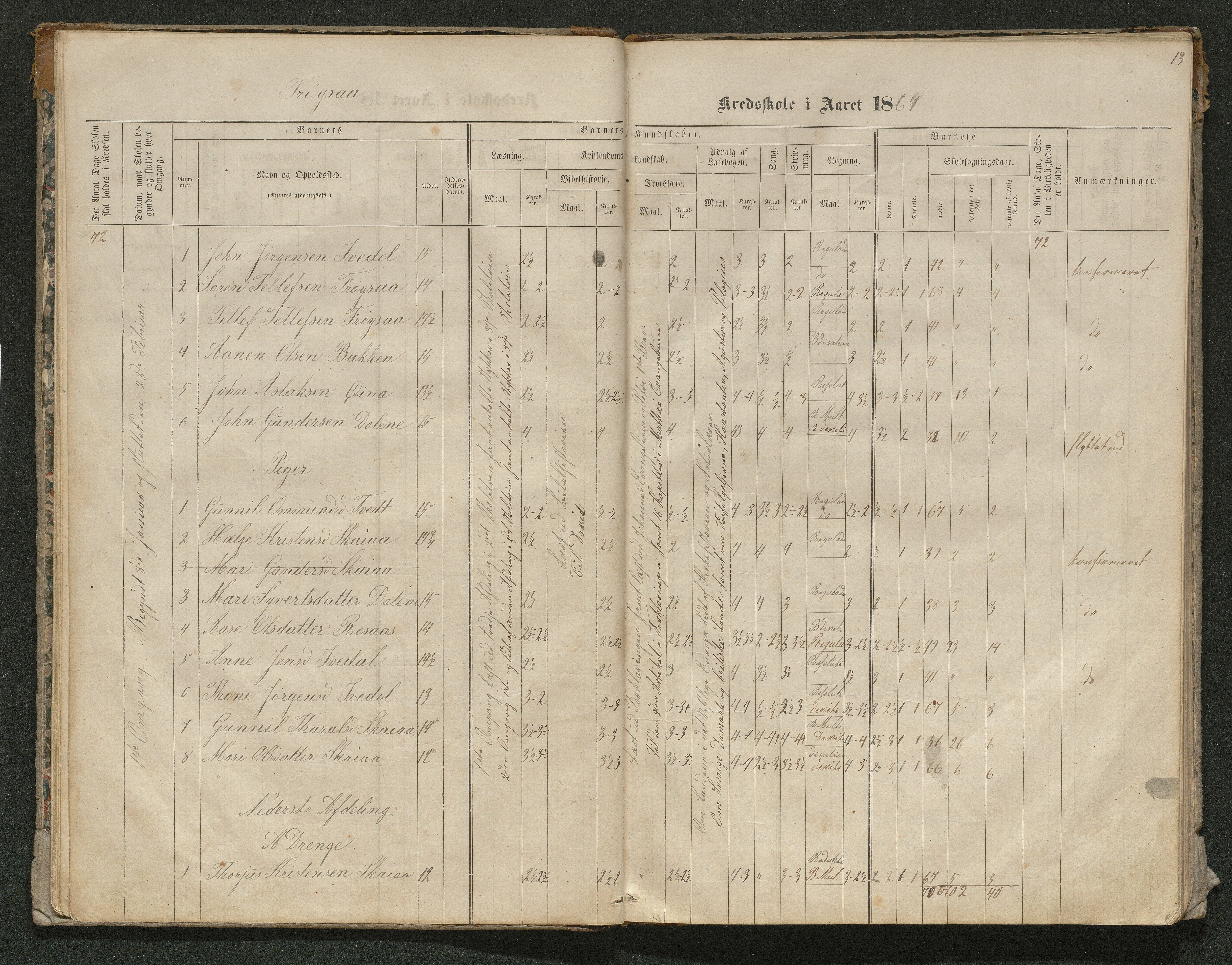 Iveland kommune, De enkelte kretsene/Skolene, AAKS/KA0935-550/A_10/L0005: Skoleprotokoll for Frøyså og Mykland krets, 1864-1881, s. 13