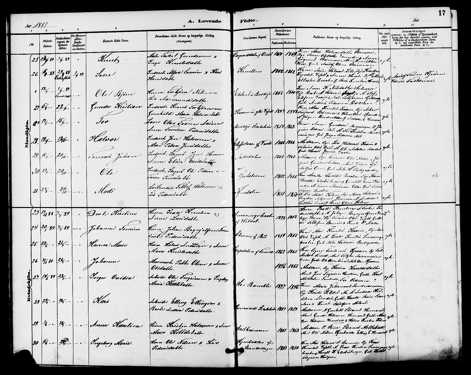 Drangedal kirkebøker, AV/SAKO-A-258/G/Ga/L0003: Klokkerbok nr. I 3, 1887-1906, s. 17