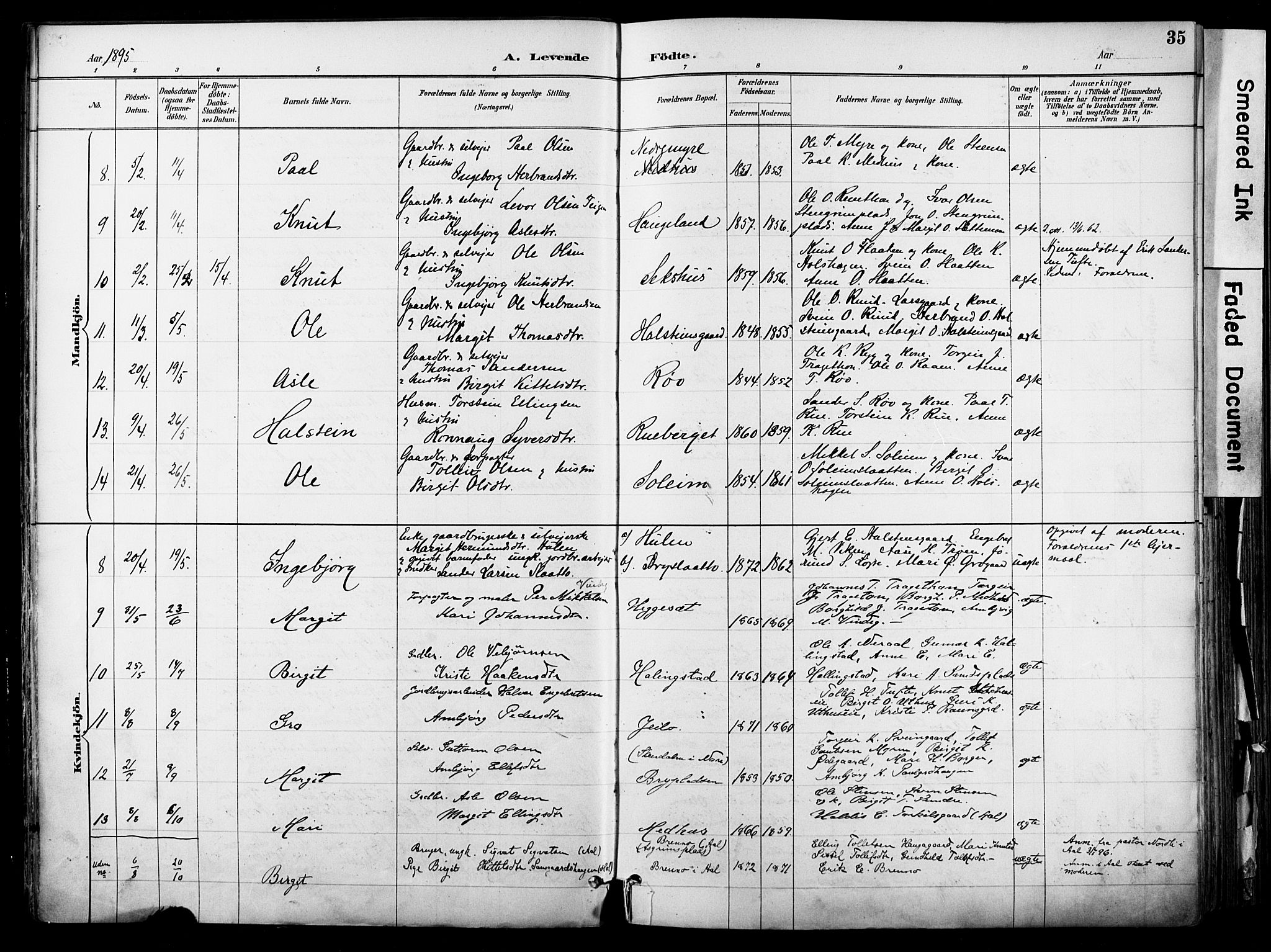 Hol kirkebøker, AV/SAKO-A-227/F/Fa/L0003: Ministerialbok nr. I 3, 1887-1918, s. 35