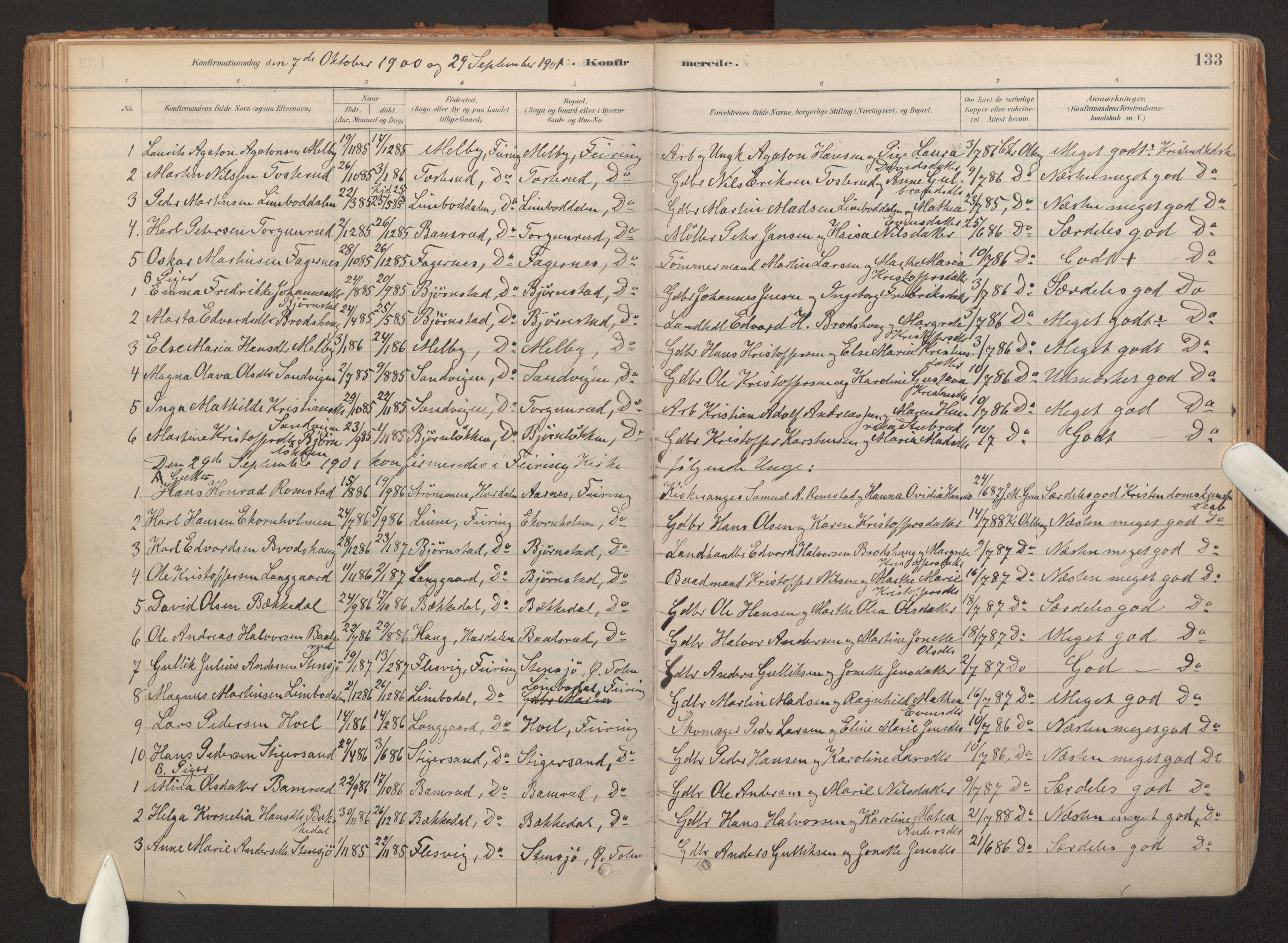 Hurdal prestekontor Kirkebøker, AV/SAO-A-10889/F/Fb/L0003: Ministerialbok nr. II 3, 1878-1920, s. 133