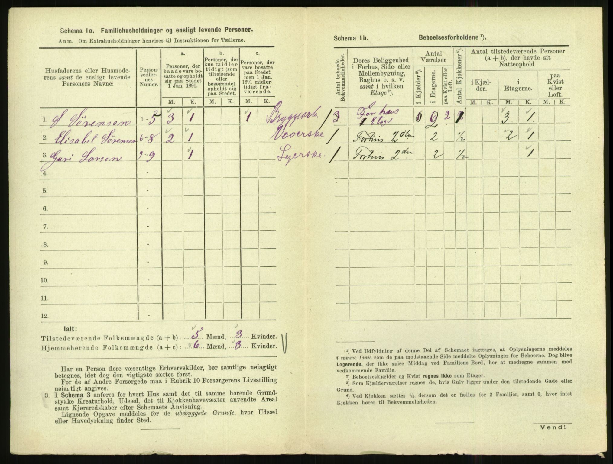 RA, Folketelling 1891 for 1002 Mandal ladested, 1891, s. 848