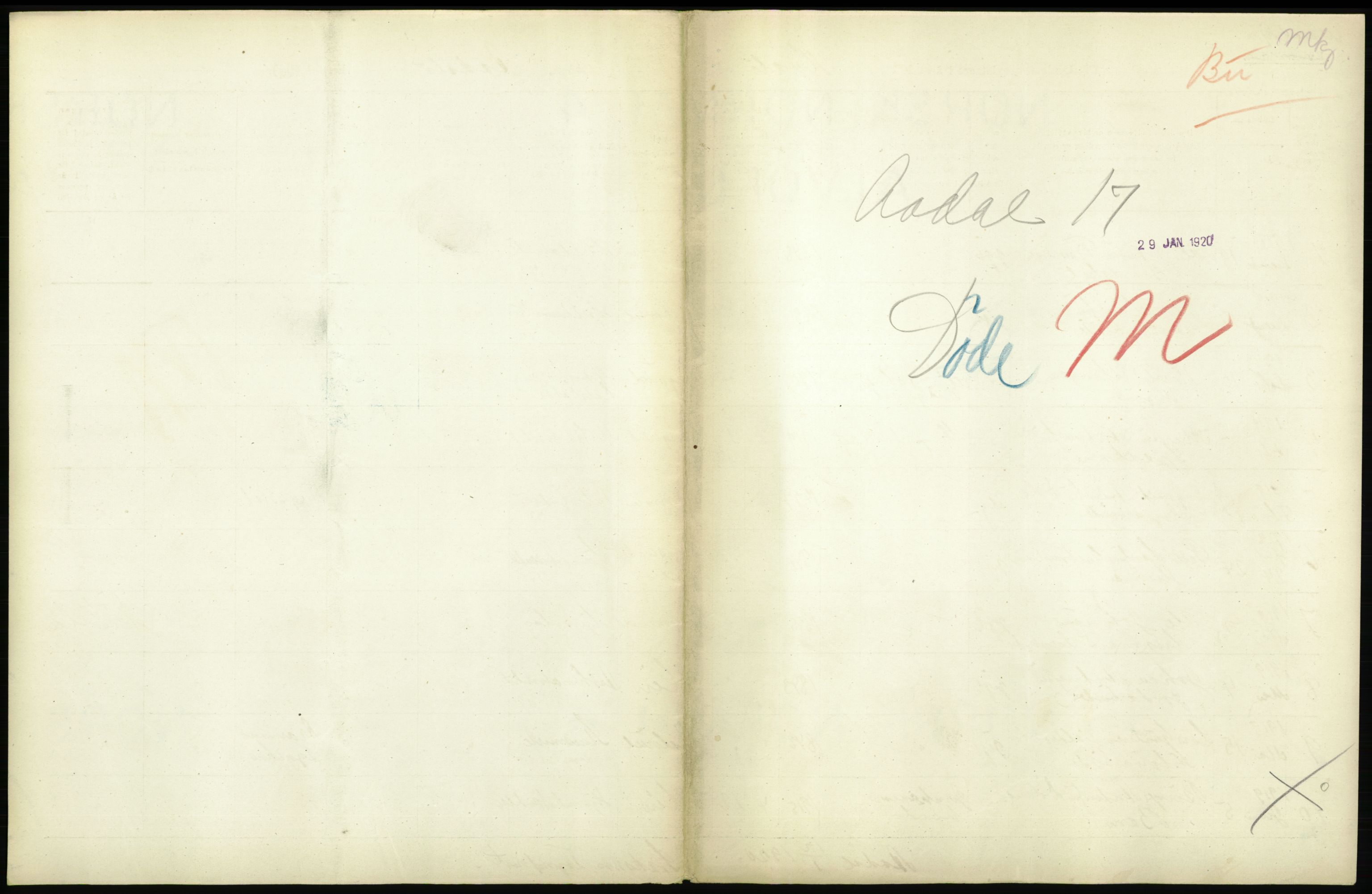 Statistisk sentralbyrå, Sosiodemografiske emner, Befolkning, AV/RA-S-2228/D/Df/Dfb/Dfbi/L0018: Buskerud fylke: Døde. Bygder og byer., 1919, s. 199