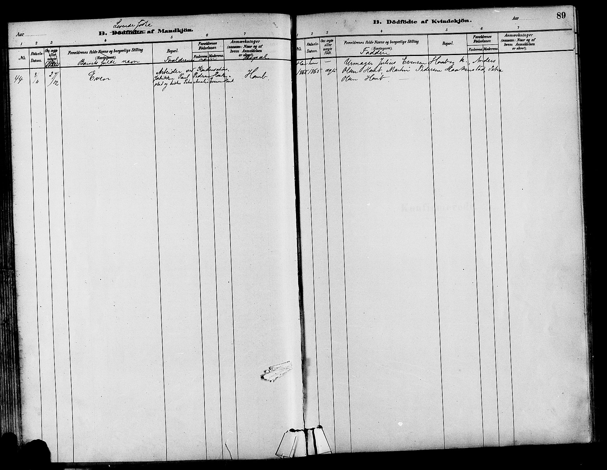 Østre Toten prestekontor, SAH/PREST-104/H/Ha/Haa/L0007: Ministerialbok nr. 7, 1881-1896, s. 89