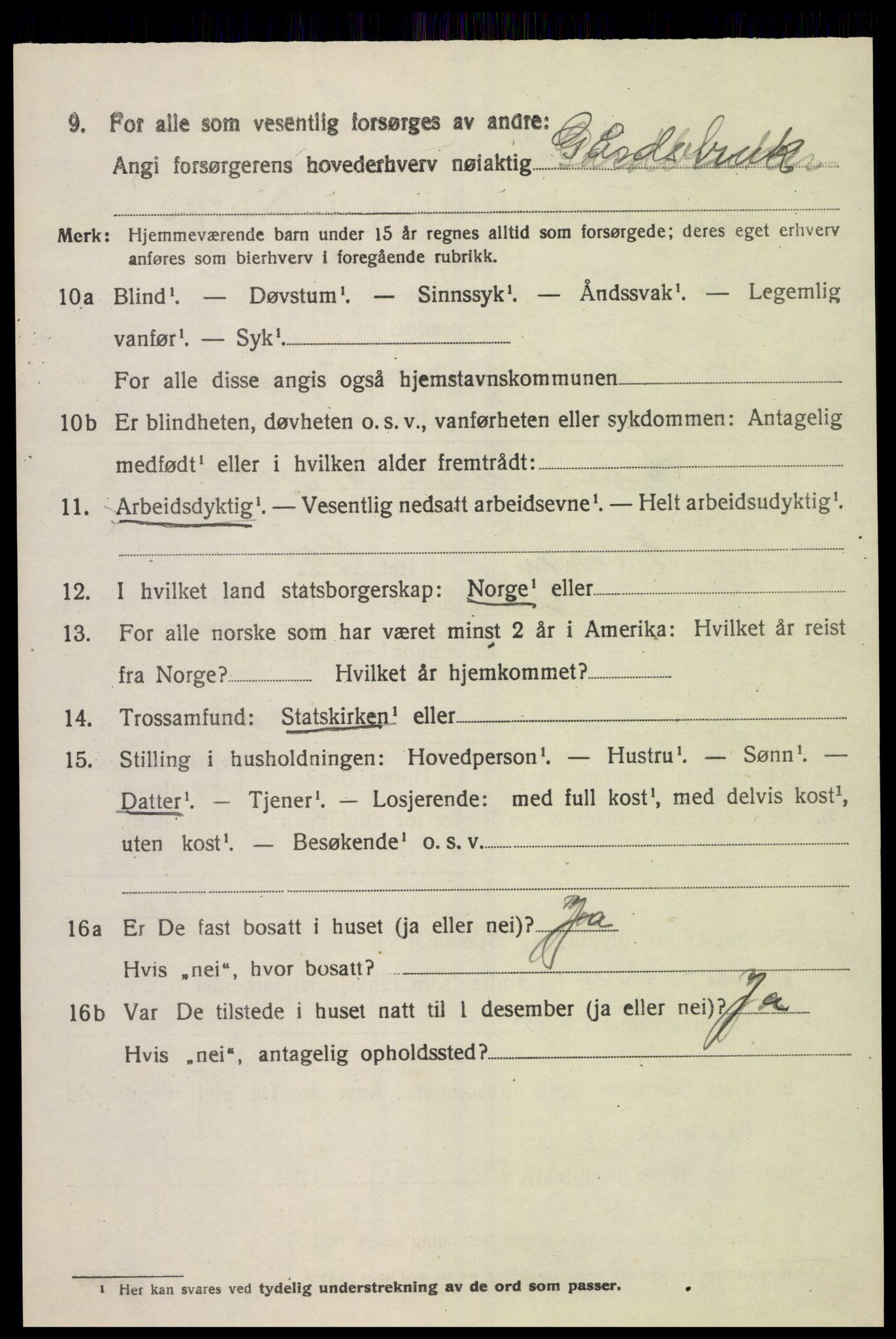 SAK, Folketelling 1920 for 1029 Sør-Audnedal herred, 1920, s. 4252