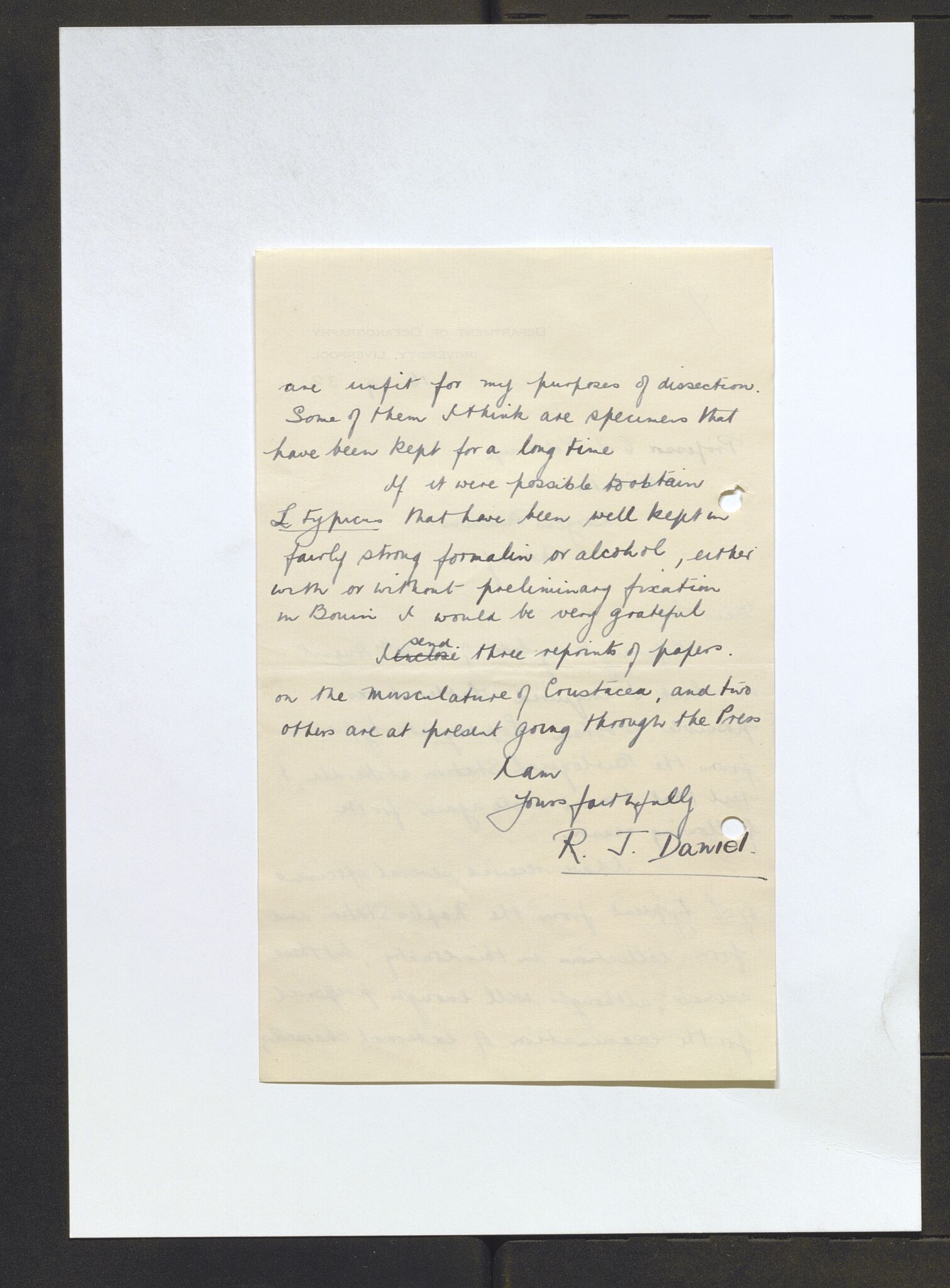 Bergens Museum, AV/SAB-A-17301/13/D/L0002: Korrespondanse , 1928-1940, s. 398