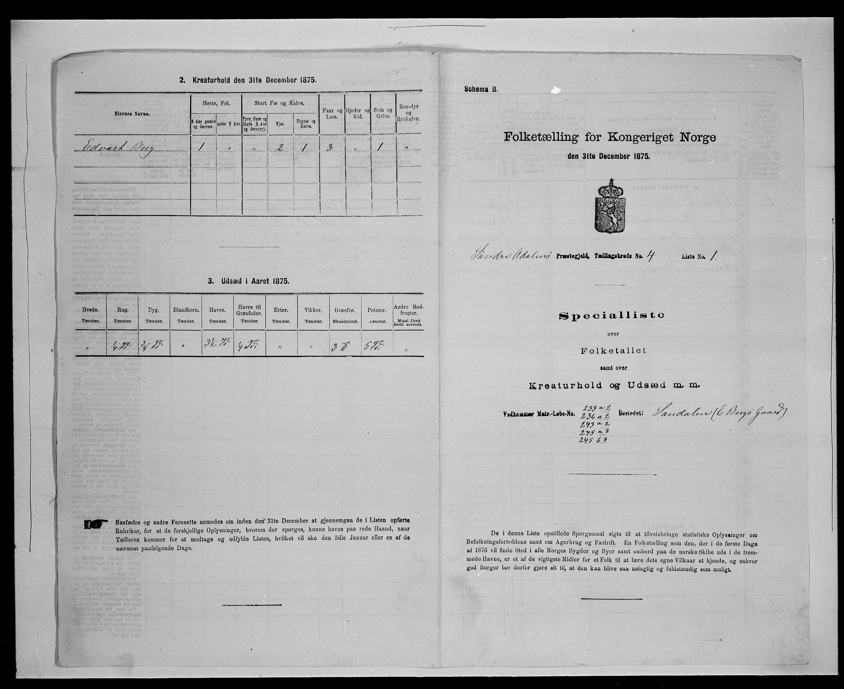 SAH, Folketelling 1875 for 0419P Sør-Odal prestegjeld, 1875, s. 425