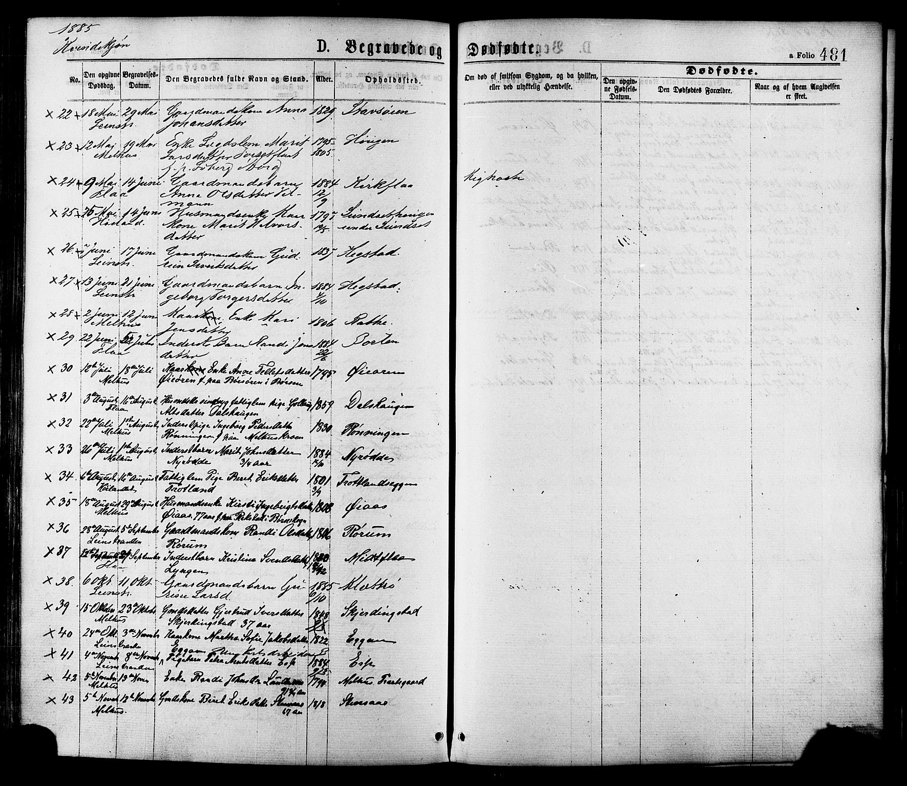 Ministerialprotokoller, klokkerbøker og fødselsregistre - Sør-Trøndelag, AV/SAT-A-1456/691/L1079: Ministerialbok nr. 691A11, 1873-1886, s. 481