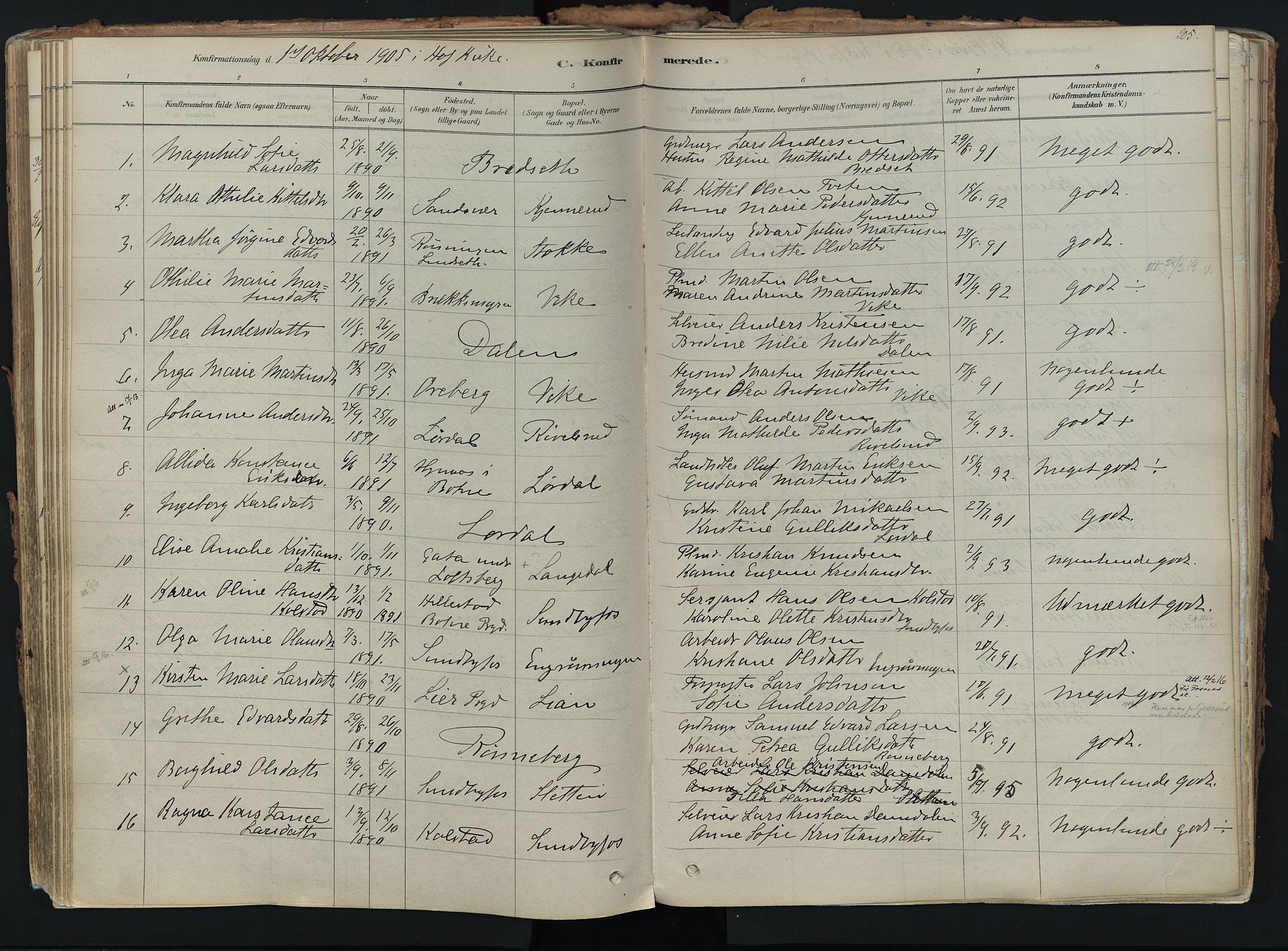 Hof kirkebøker, AV/SAKO-A-64/F/Fa/L0007: Ministerialbok nr. I 7, 1878-1940, s. 205