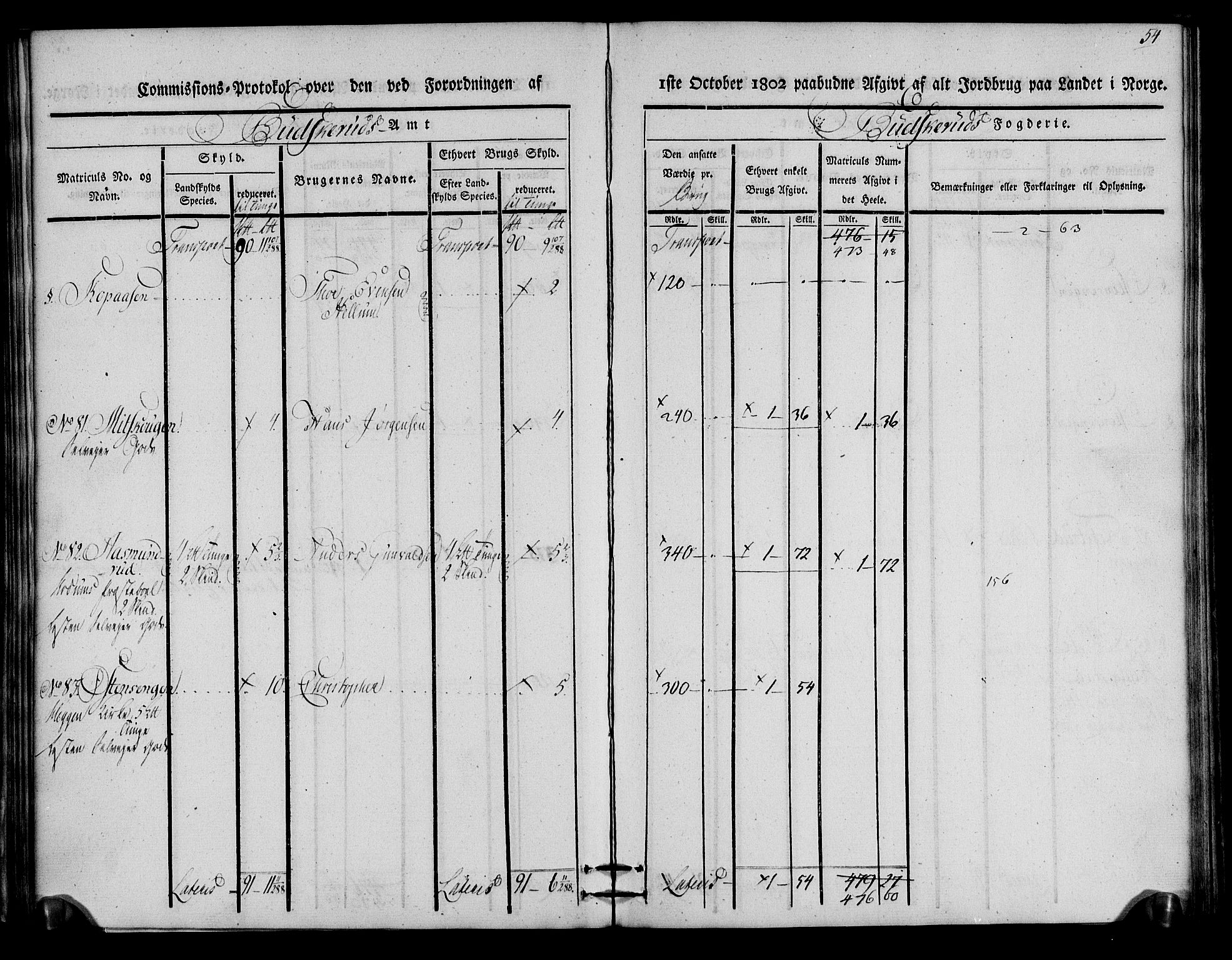 Rentekammeret inntil 1814, Realistisk ordnet avdeling, AV/RA-EA-4070/N/Ne/Nea/L0059: Buskerud fogderi. Kommisjonsprotokoll for Modum prestegjeld, 1803, s. 54