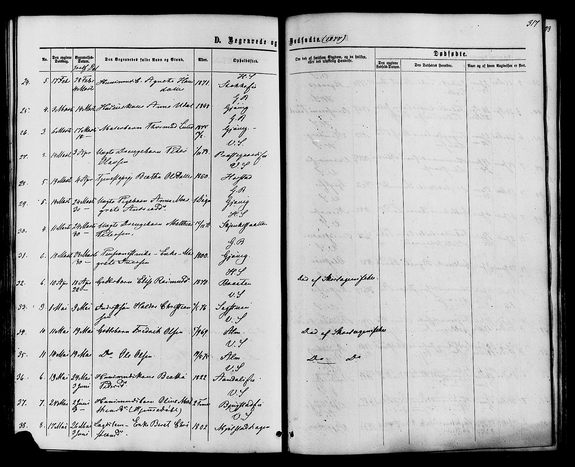 Vardal prestekontor, AV/SAH-PREST-100/H/Ha/Haa/L0007: Ministerialbok nr. 7, 1867-1878, s. 317