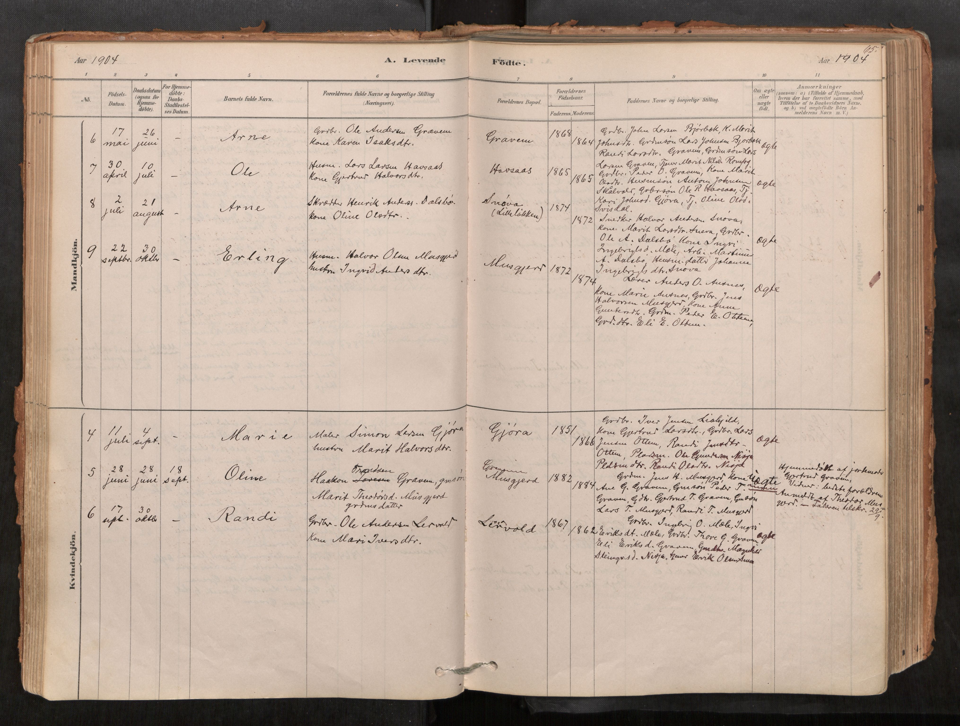 Sunndal sokneprestkontor, AV/SAT-A-1085/1/I/I1/I1a/L0001: Ministerialbok nr. 1, 1877-1914, s. 65