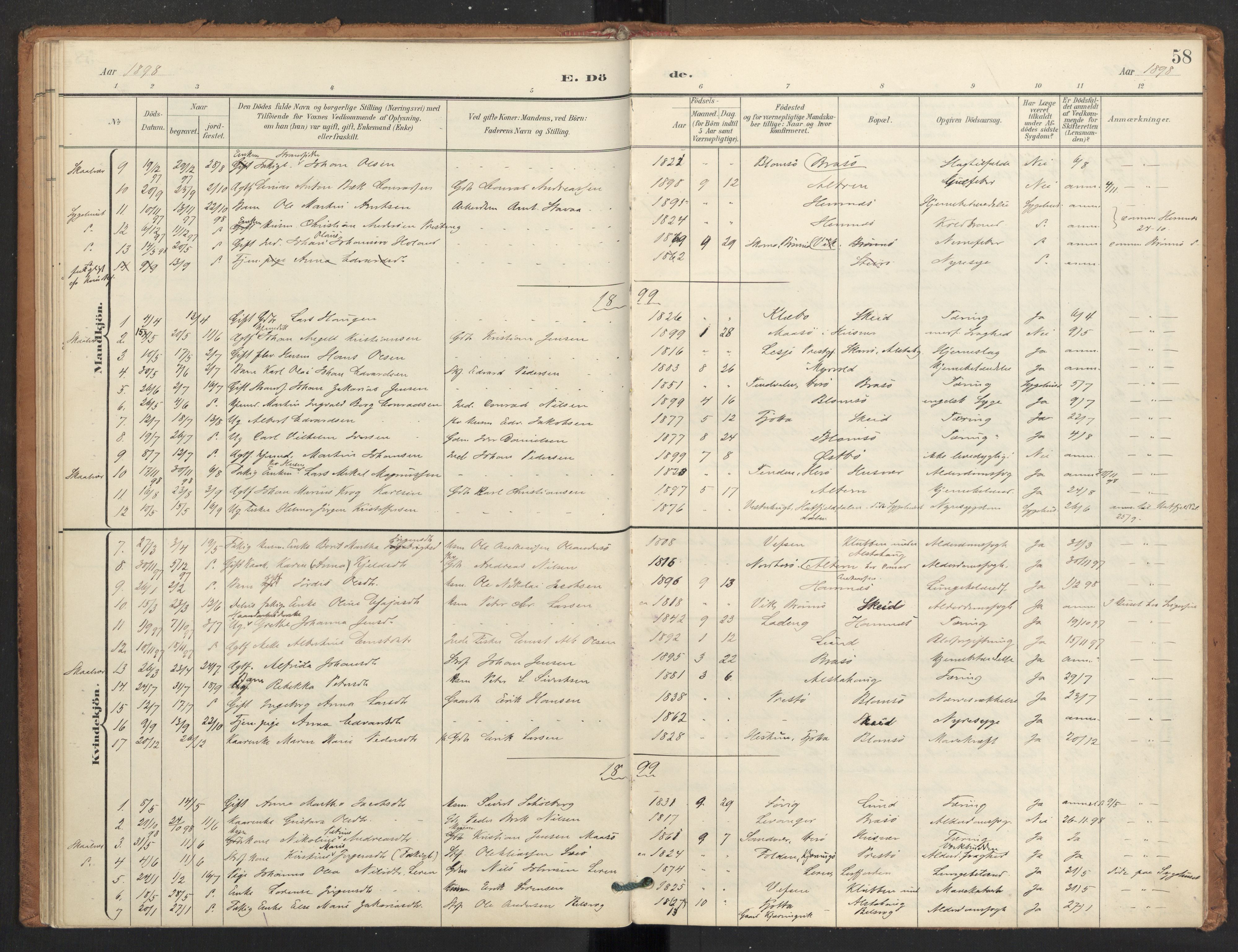 Ministerialprotokoller, klokkerbøker og fødselsregistre - Nordland, AV/SAT-A-1459/830/L0454: Ministerialbok nr. 830A18, 1897-1913, s. 58