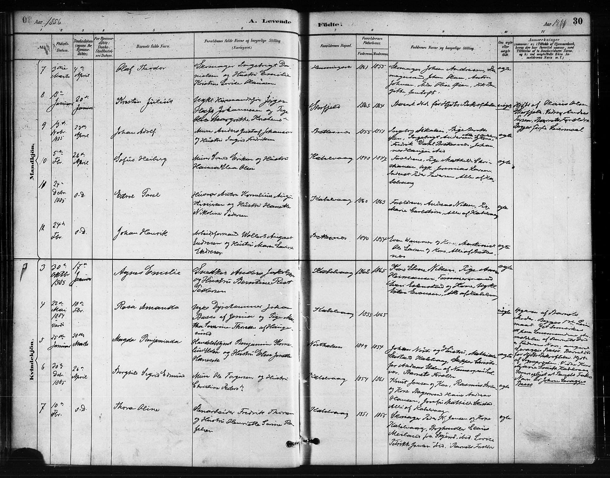 Ministerialprotokoller, klokkerbøker og fødselsregistre - Nordland, AV/SAT-A-1459/874/L1059: Ministerialbok nr. 874A03, 1884-1890, s. 30