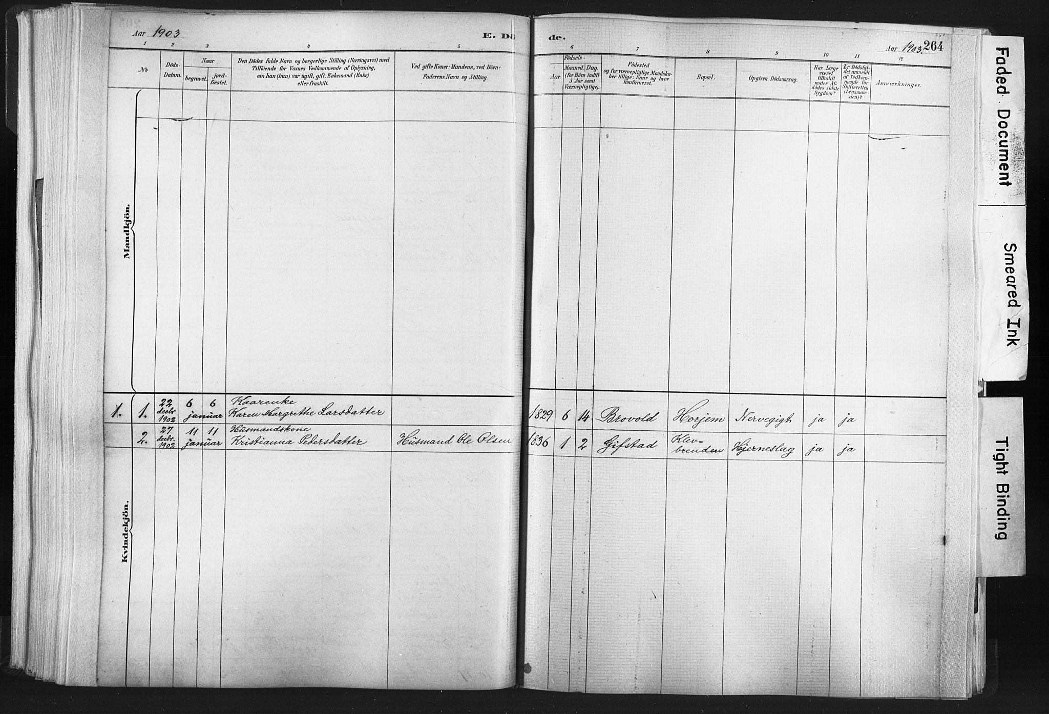 Ministerialprotokoller, klokkerbøker og fødselsregistre - Nord-Trøndelag, SAT/A-1458/749/L0474: Ministerialbok nr. 749A08, 1887-1903, s. 264