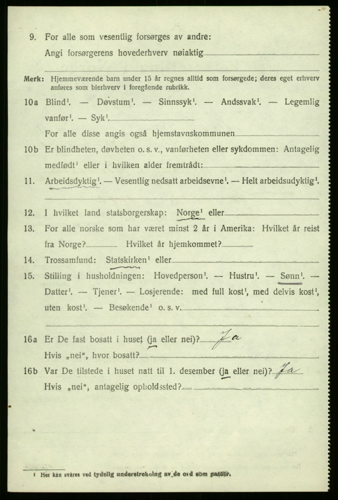 SAB, Folketelling 1920 for 1426 Luster herred, 1920, s. 5117