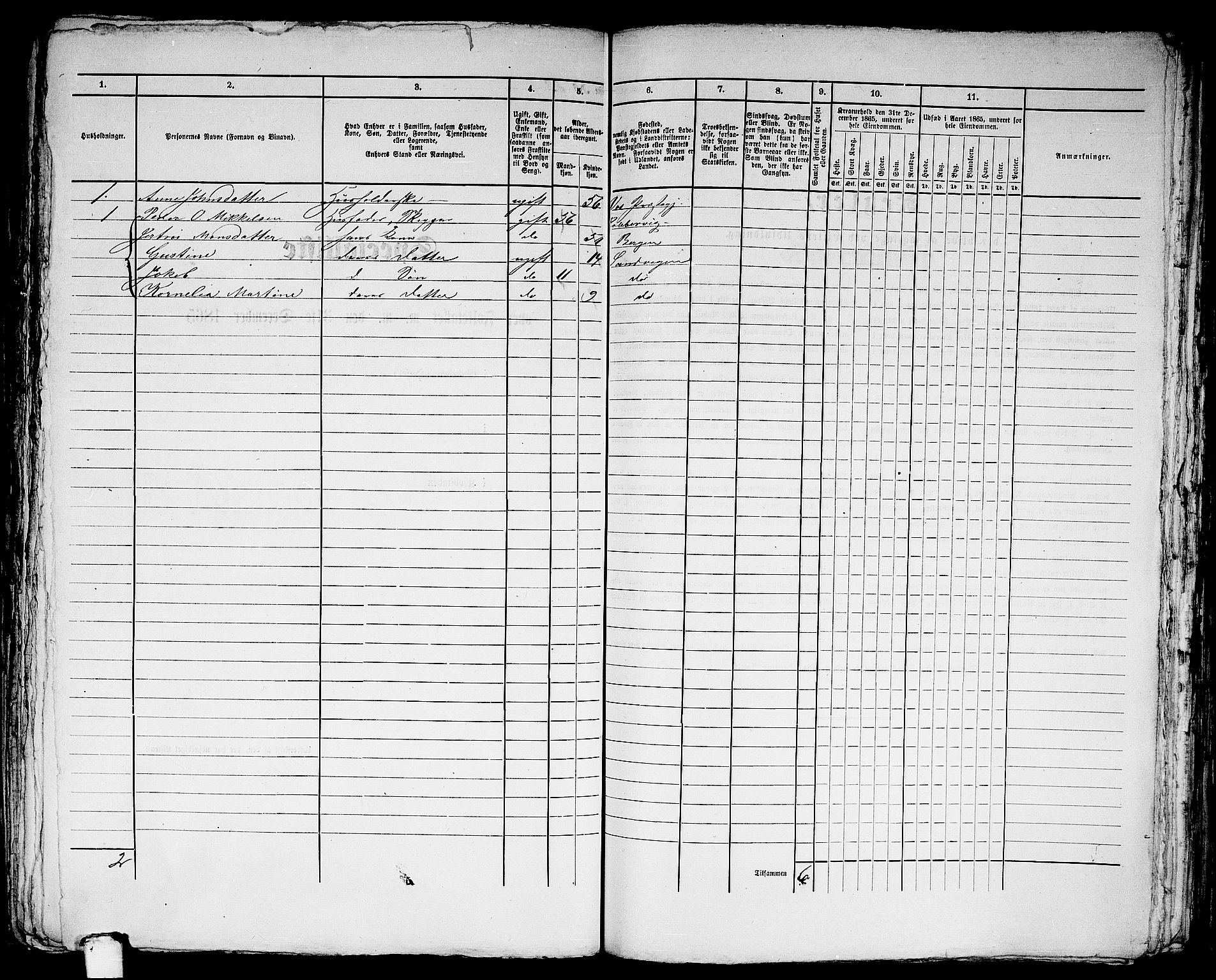 RA, Folketelling 1865 for 1281L Bergen Landdistrikt, Domkirkens landsokn og Korskirkens landsokn, 1865, s. 214