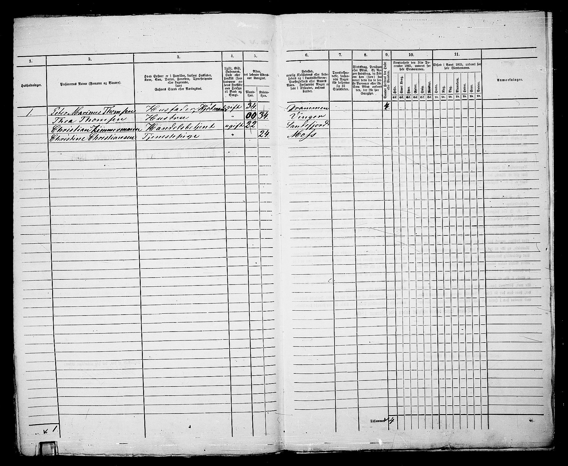 RA, Folketelling 1865 for 0104B Moss prestegjeld, Moss kjøpstad, 1865, s. 347