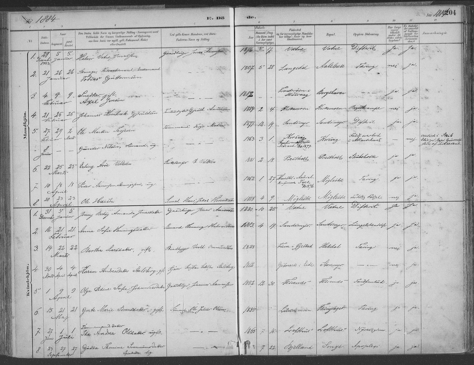 Vestre Moland sokneprestkontor, AV/SAK-1111-0046/F/Fa/Fab/L0009: Ministerialbok nr. A 9, 1884-1899, s. 204