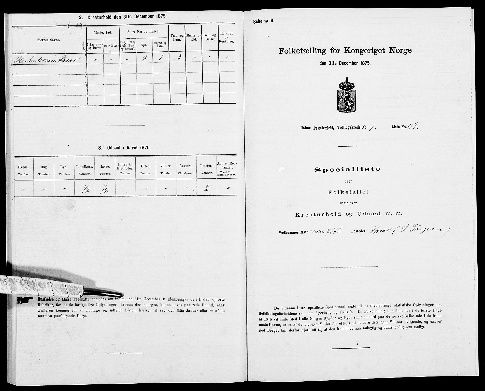 SAK, Folketelling 1875 for 1020P Holum prestegjeld, 1875, s. 1046