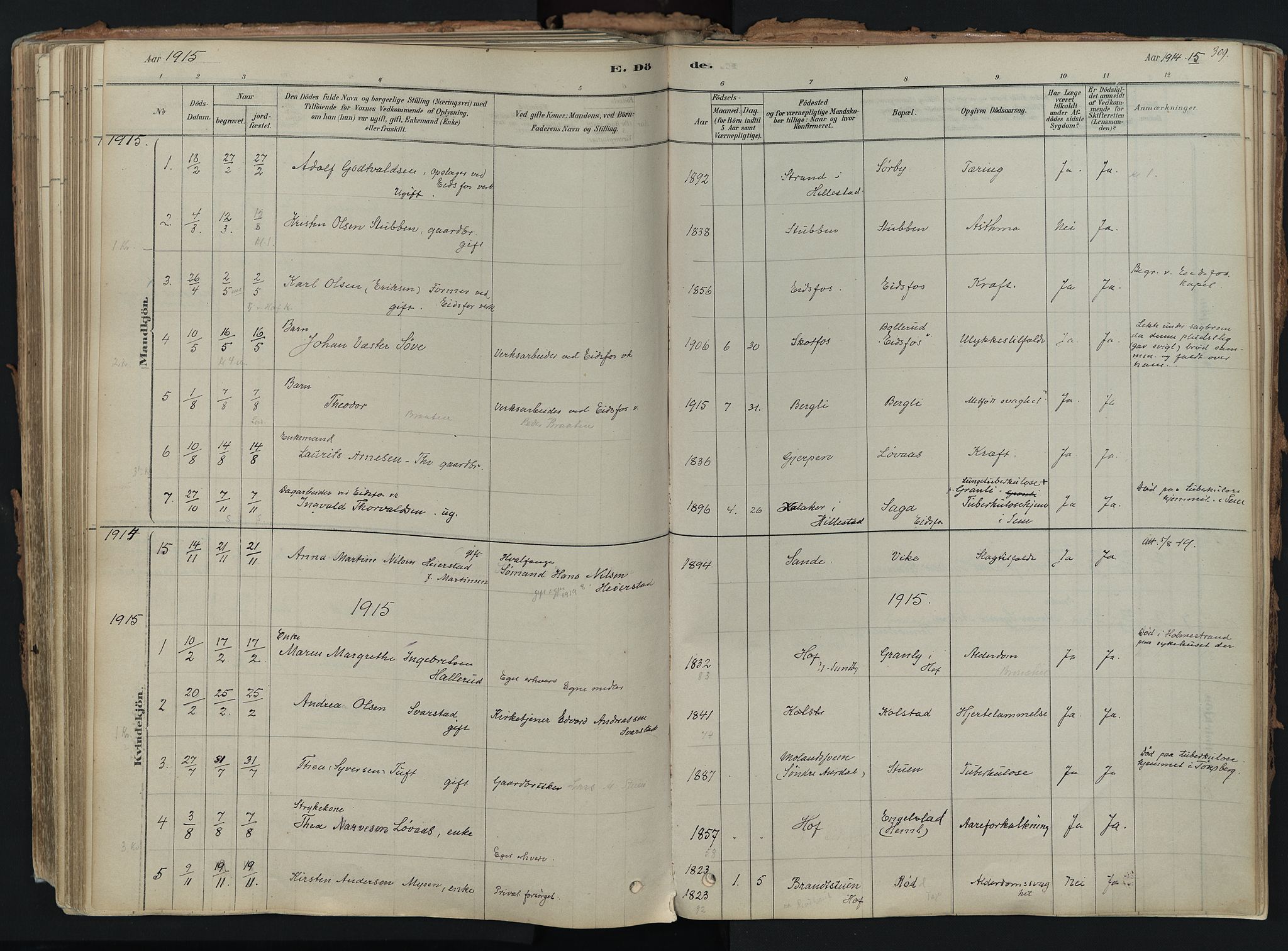 Hof kirkebøker, SAKO/A-64/F/Fa/L0007: Ministerialbok nr. I 7, 1878-1940, s. 309