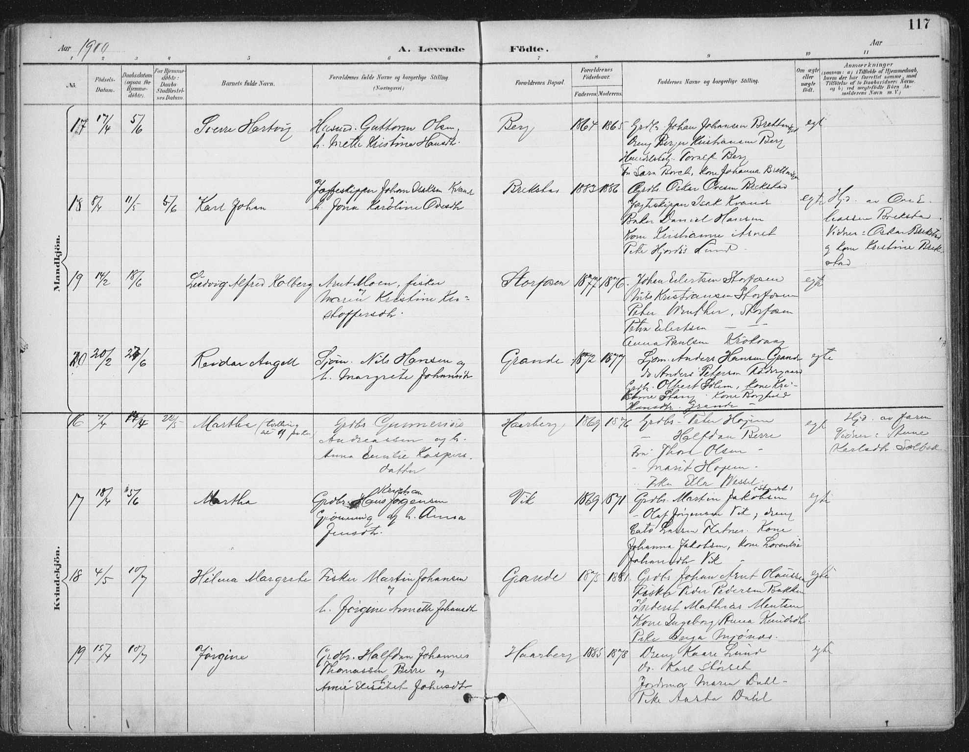 Ministerialprotokoller, klokkerbøker og fødselsregistre - Sør-Trøndelag, SAT/A-1456/659/L0743: Ministerialbok nr. 659A13, 1893-1910, s. 117
