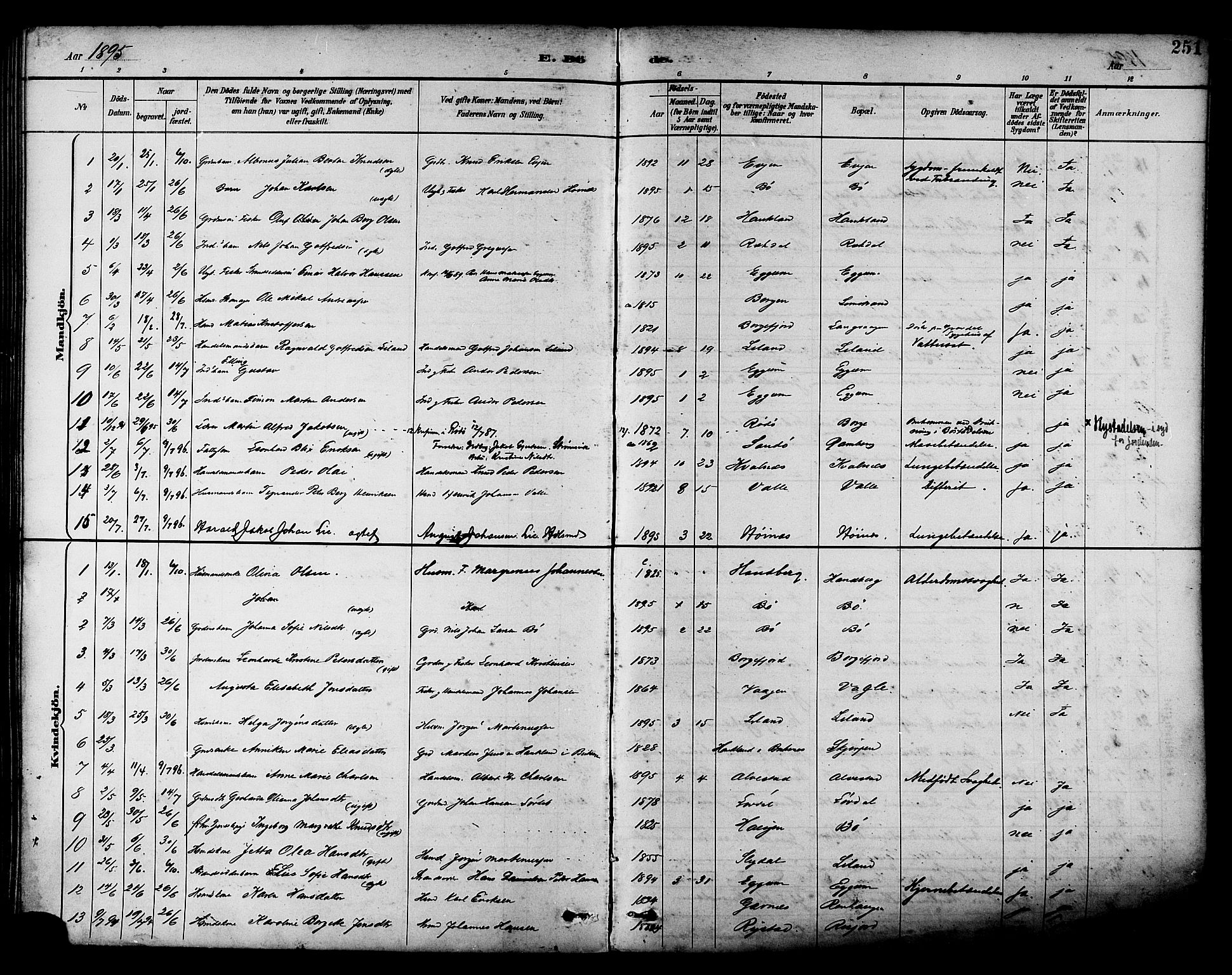 Ministerialprotokoller, klokkerbøker og fødselsregistre - Nordland, AV/SAT-A-1459/880/L1133: Ministerialbok nr. 880A07, 1888-1898, s. 251