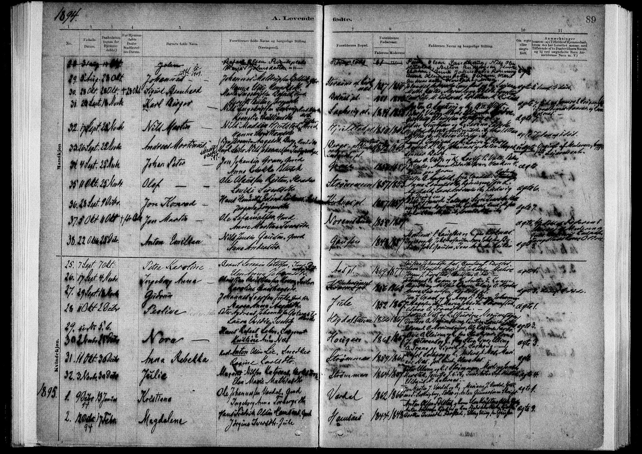Ministerialprotokoller, klokkerbøker og fødselsregistre - Nord-Trøndelag, SAT/A-1458/730/L0285: Ministerialbok nr. 730A10, 1879-1914, s. 89
