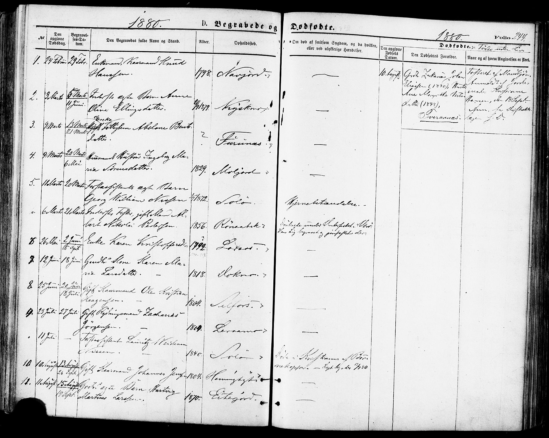 Ministerialprotokoller, klokkerbøker og fødselsregistre - Nordland, AV/SAT-A-1459/846/L0645: Ministerialbok nr. 846A03, 1872-1886, s. 244