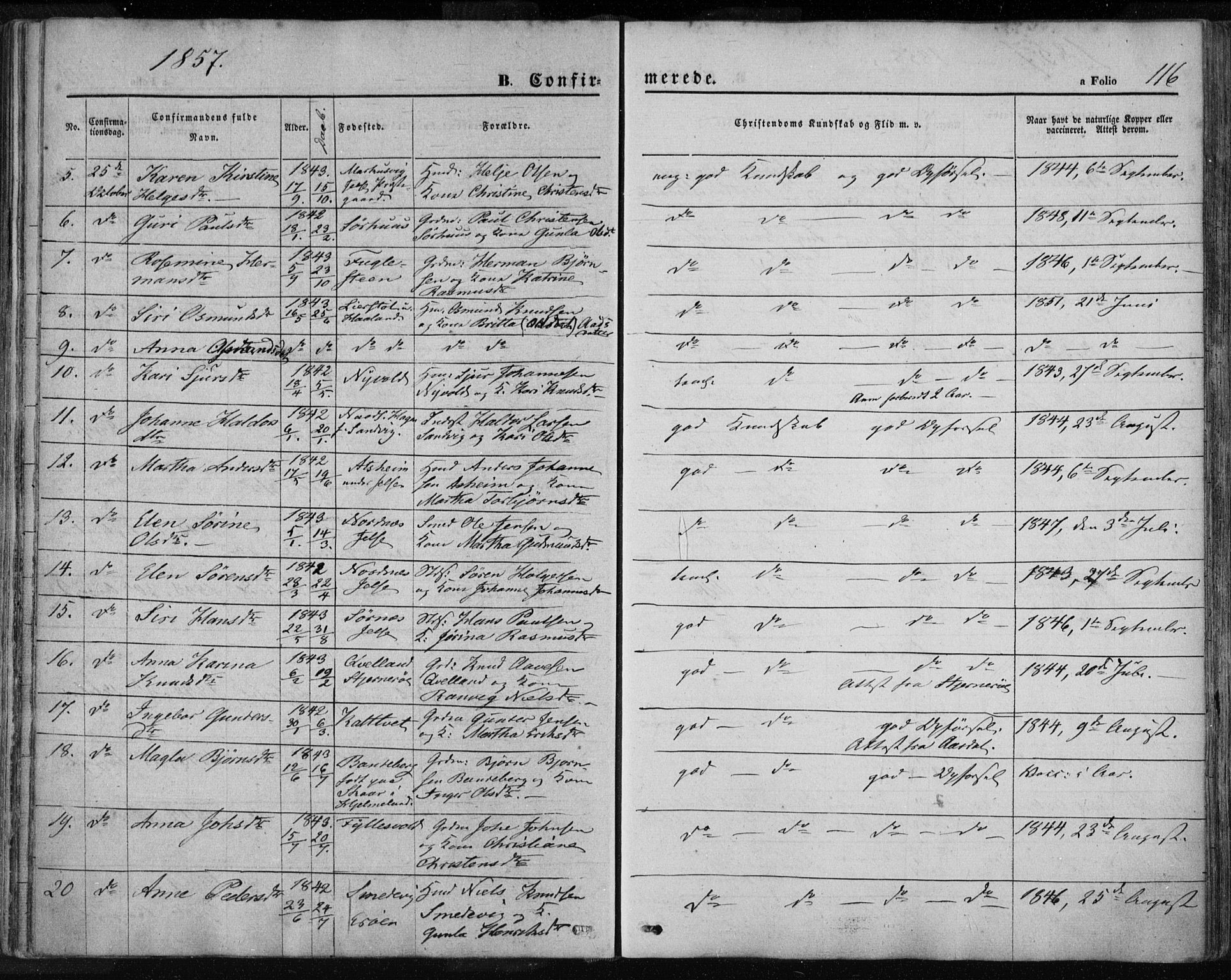 Jelsa sokneprestkontor, AV/SAST-A-101842/01/IV: Ministerialbok nr. A 7, 1854-1866, s. 116