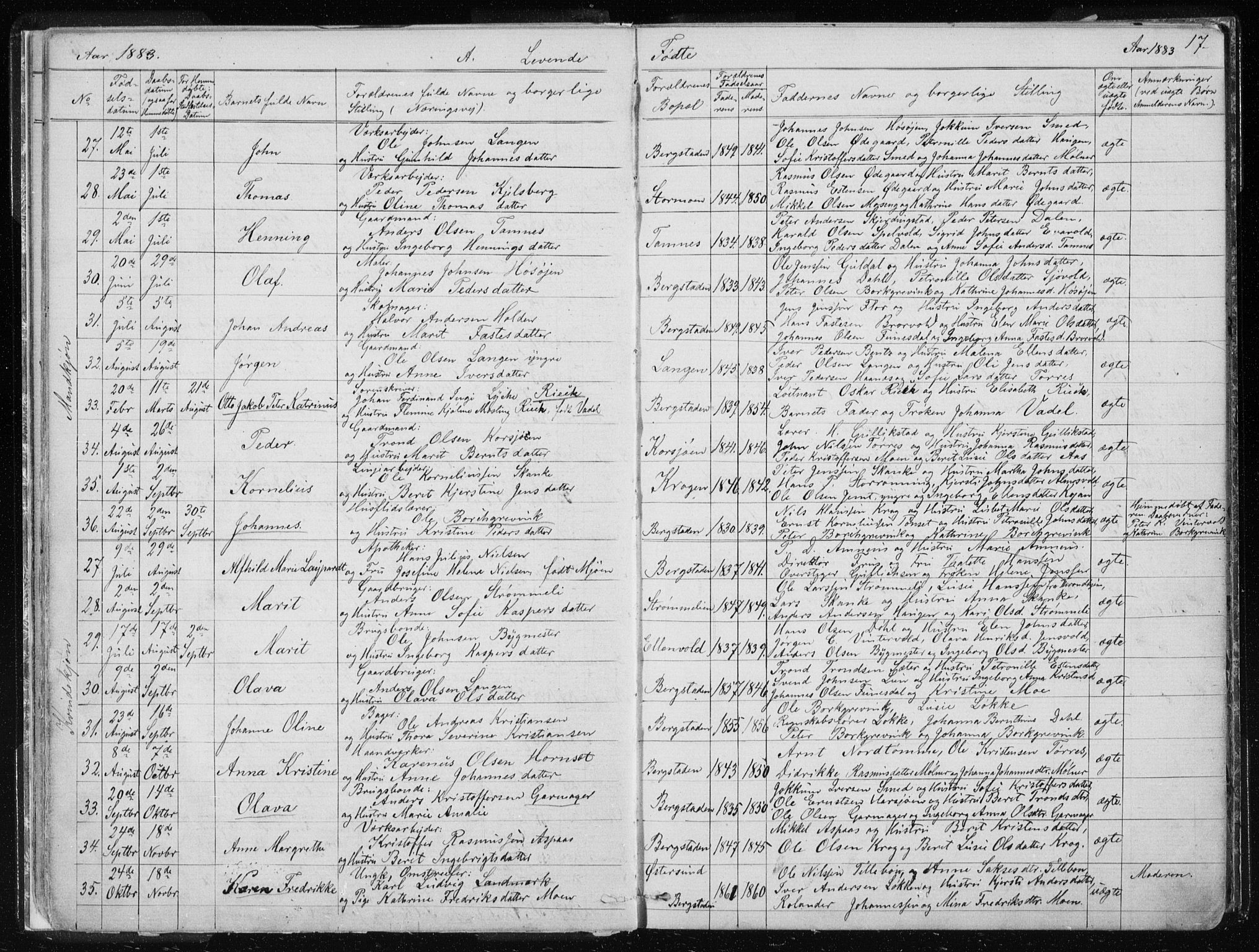 Ministerialprotokoller, klokkerbøker og fødselsregistre - Sør-Trøndelag, AV/SAT-A-1456/681/L0940: Klokkerbok nr. 681C04, 1880-1895, s. 17