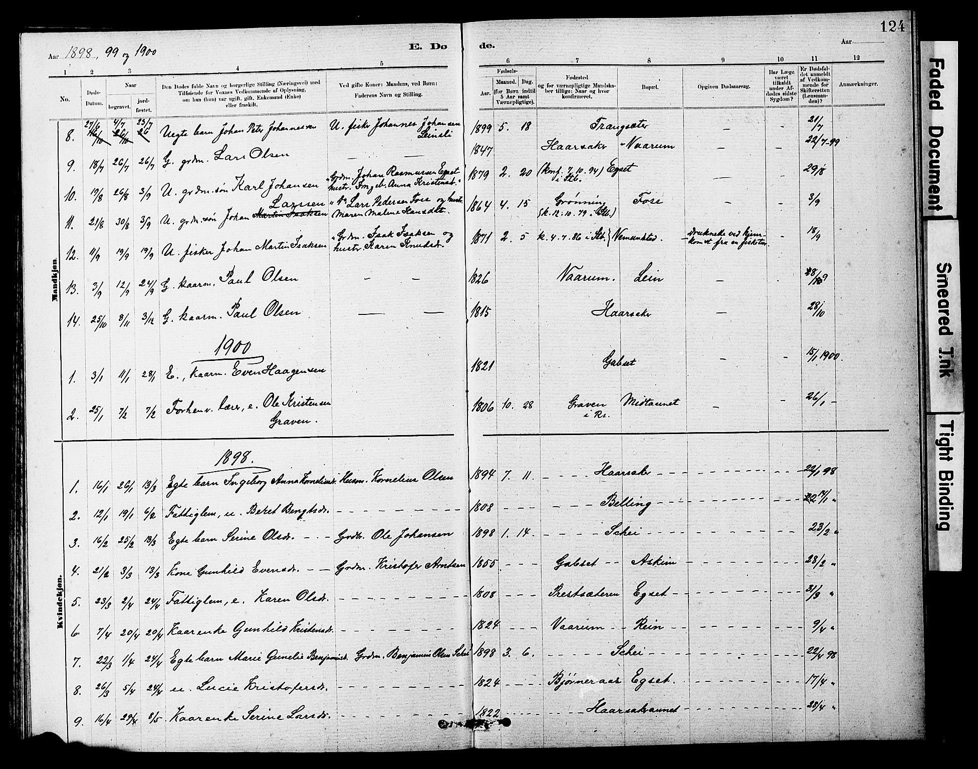 Ministerialprotokoller, klokkerbøker og fødselsregistre - Sør-Trøndelag, SAT/A-1456/646/L0628: Klokkerbok nr. 646C01, 1880-1903, s. 124