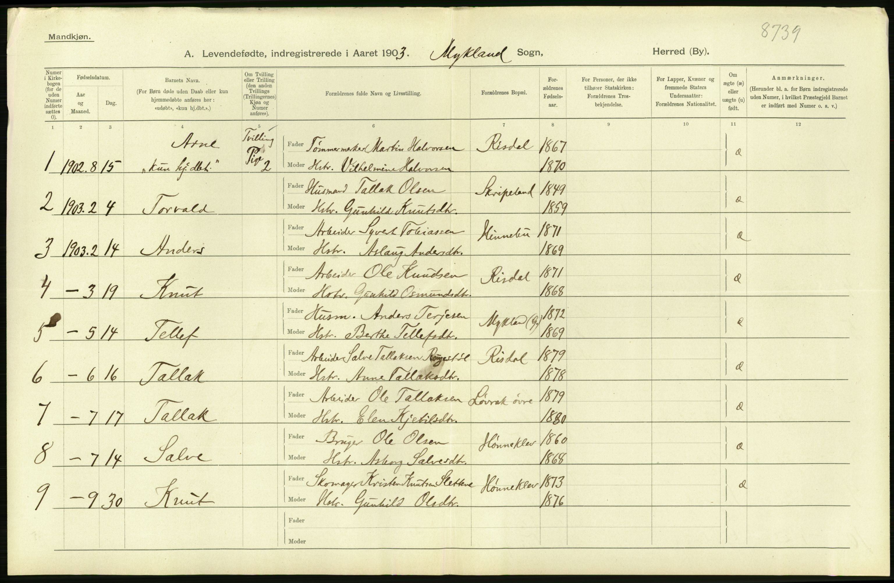 Statistisk sentralbyrå, Sosiodemografiske emner, Befolkning, AV/RA-S-2228/D/Df/Dfa/Dfaa/L0010: Nedenes amt: Fødte, gifte, døde, 1903, s. 48