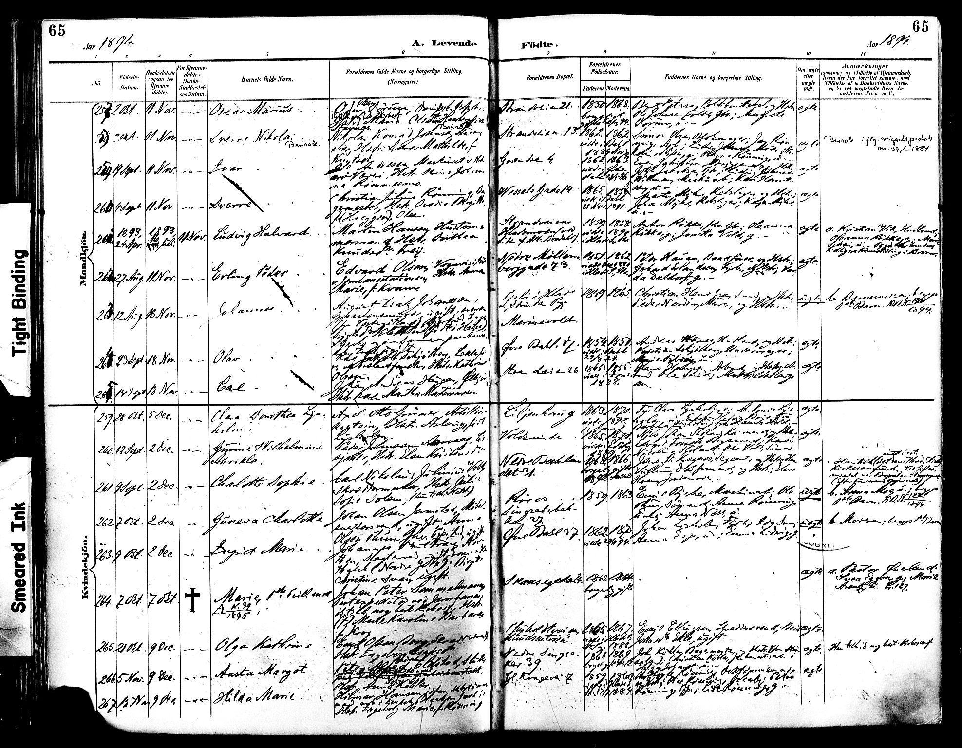Ministerialprotokoller, klokkerbøker og fødselsregistre - Sør-Trøndelag, AV/SAT-A-1456/604/L0197: Ministerialbok nr. 604A18, 1893-1900, s. 65