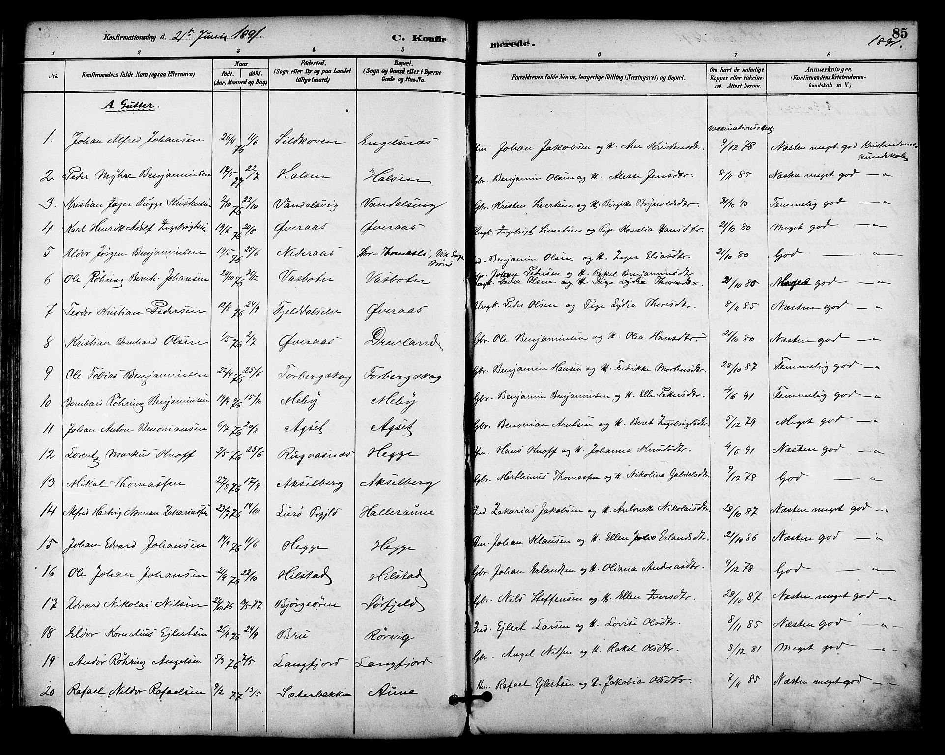 Ministerialprotokoller, klokkerbøker og fødselsregistre - Nordland, AV/SAT-A-1459/814/L0226: Ministerialbok nr. 814A07, 1886-1898, s. 85