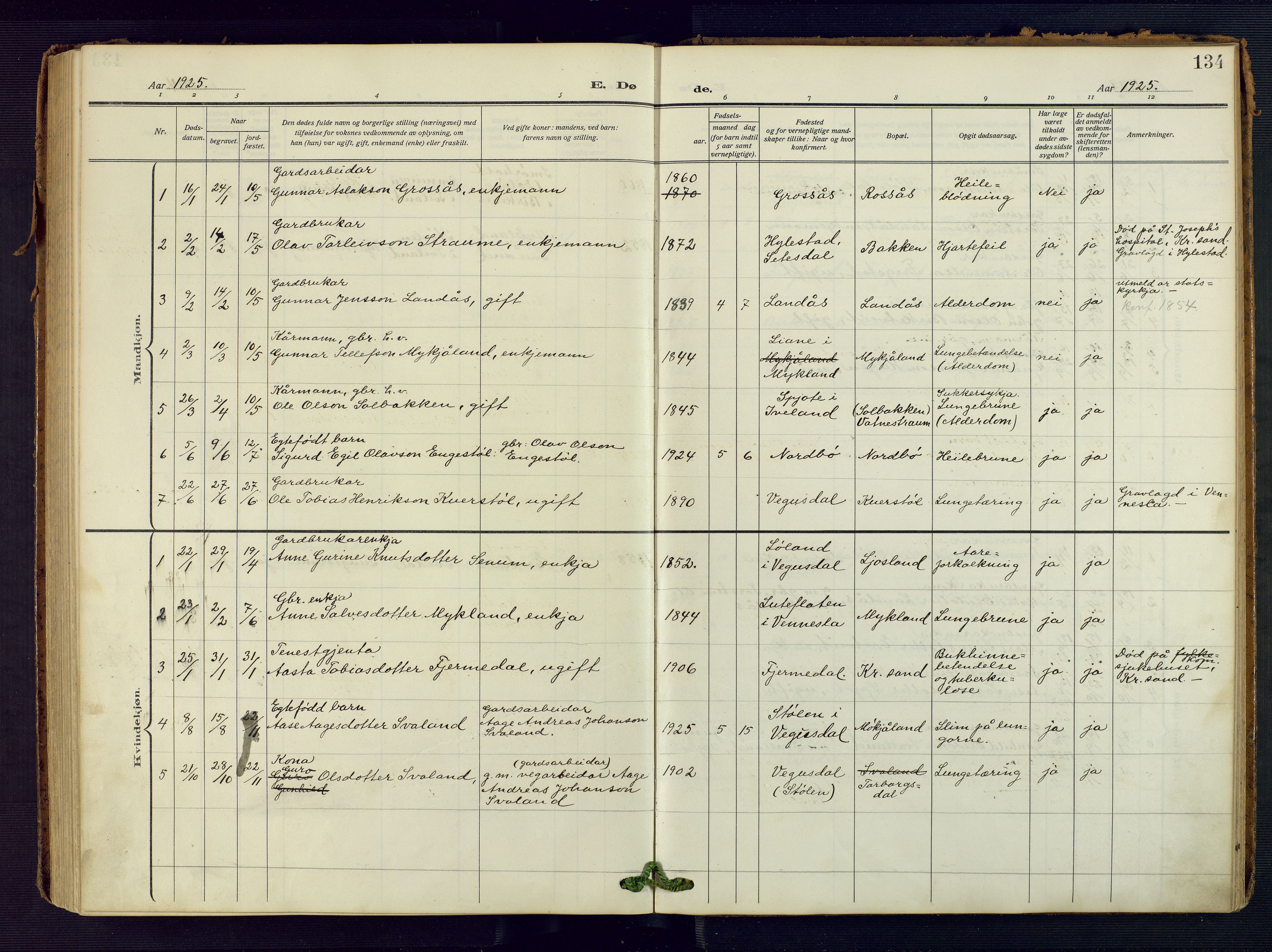 Evje sokneprestkontor, SAK/1111-0008/F/Fa/Fac/L0004: Ministerialbok nr. A 4, 1910-1932, s. 134