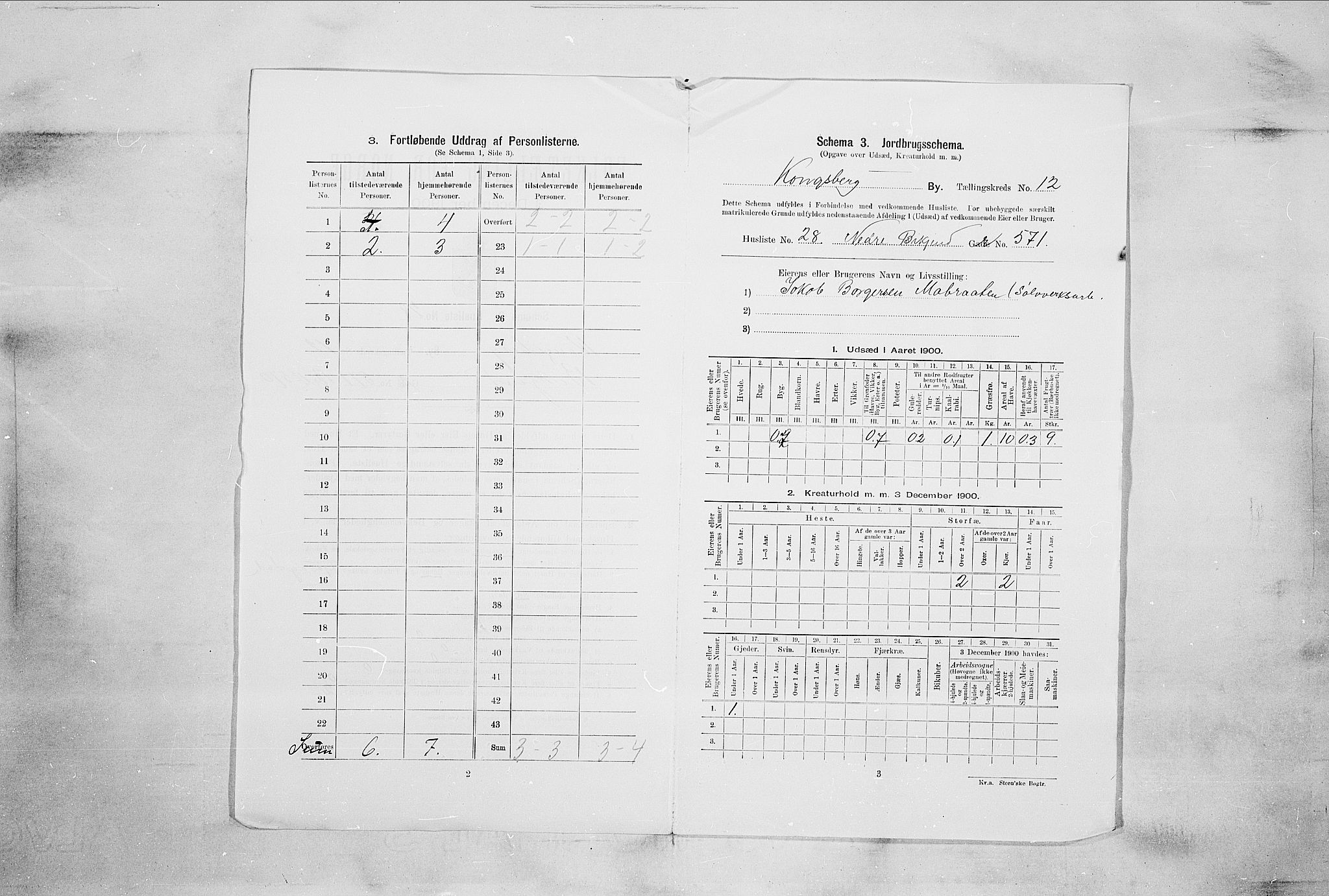 RA, Folketelling 1900 for 0604 Kongsberg kjøpstad, 1900, s. 2226