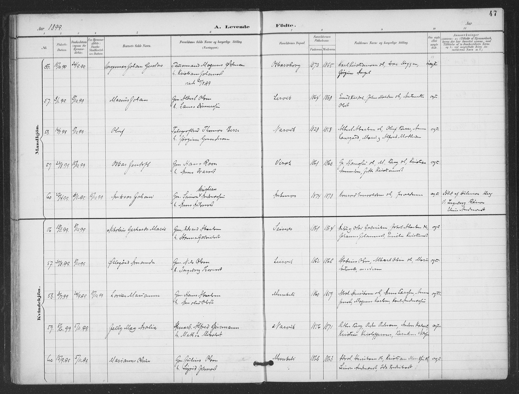 Ministerialprotokoller, klokkerbøker og fødselsregistre - Nordland, AV/SAT-A-1459/866/L0939: Ministerialbok nr. 866A02, 1894-1906, s. 47