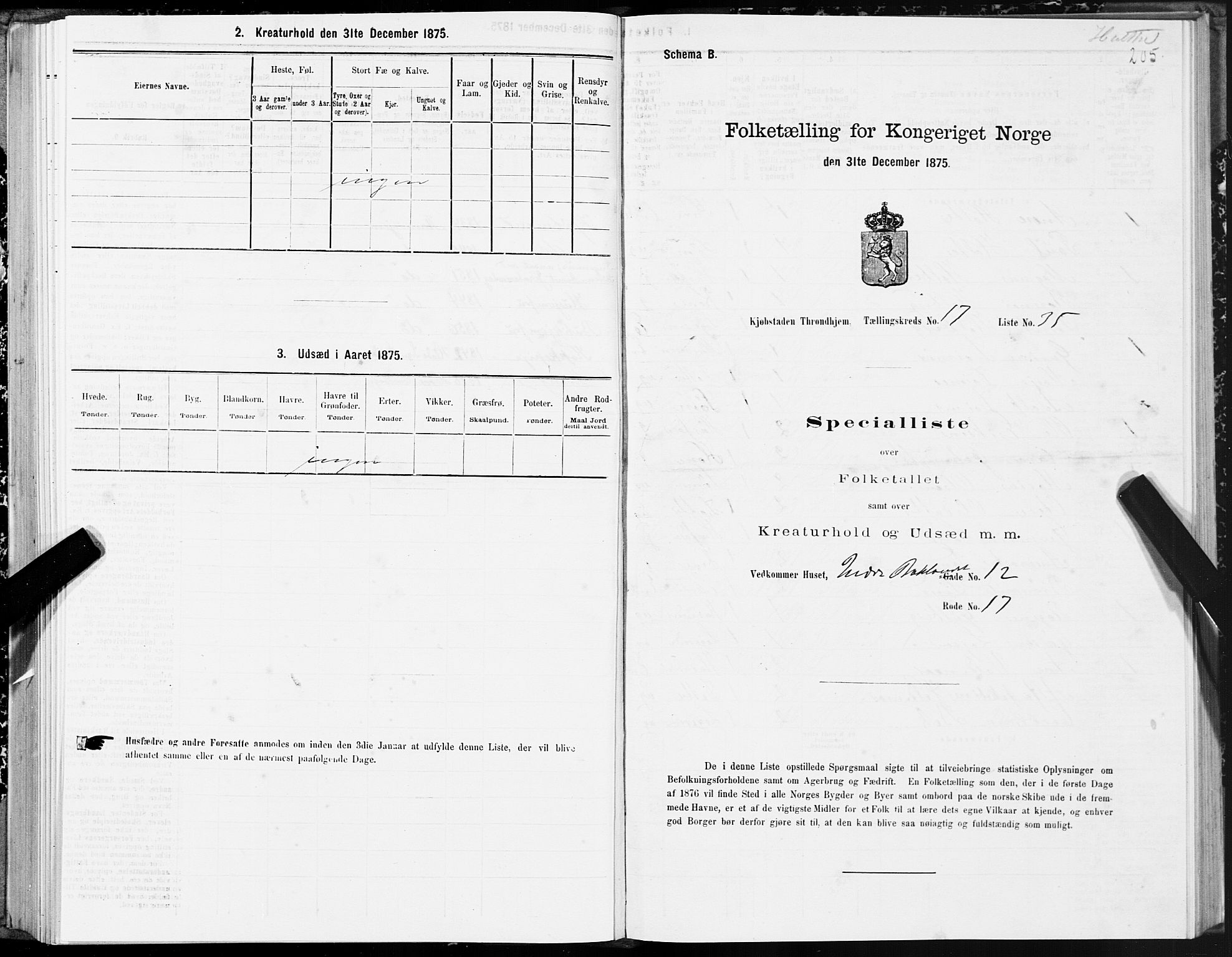 SAT, Folketelling 1875 for 1601 Trondheim kjøpstad, 1875, s. 9205