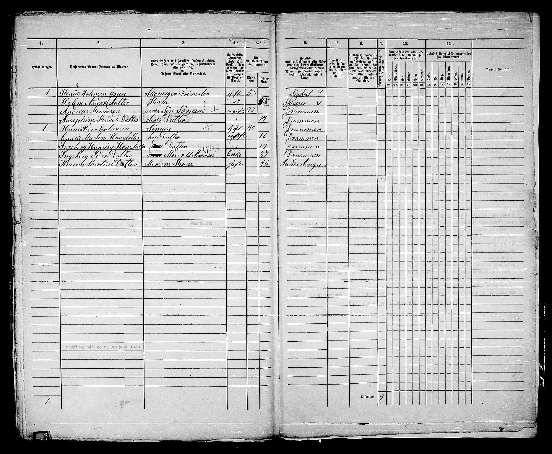 RA, Folketelling 1865 for 0602bP Strømsø prestegjeld i Drammen kjøpstad, 1865, s. 613