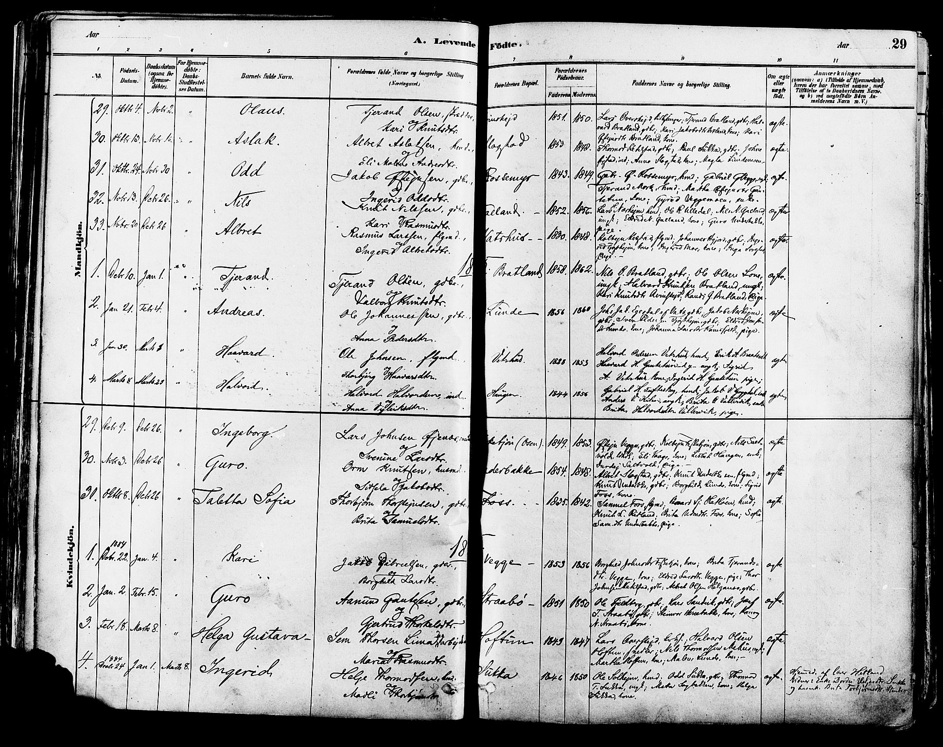 Suldal sokneprestkontor, AV/SAST-A-101845/01/IV/L0011: Ministerialbok nr. A 11, 1878-1900, s. 29