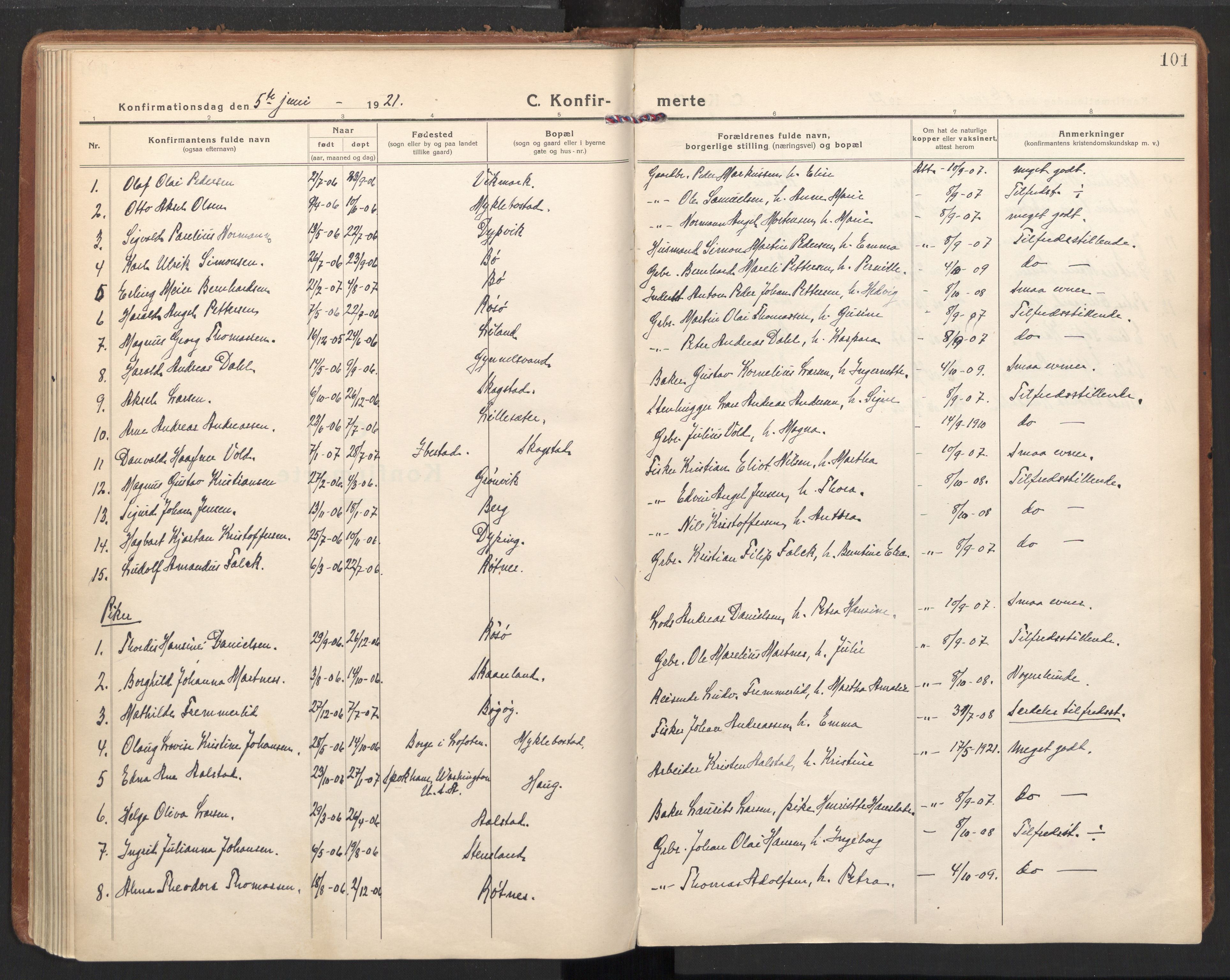 Ministerialprotokoller, klokkerbøker og fødselsregistre - Nordland, AV/SAT-A-1459/855/L0810: Ministerialbok nr. 855A17, 1921-1939, s. 101