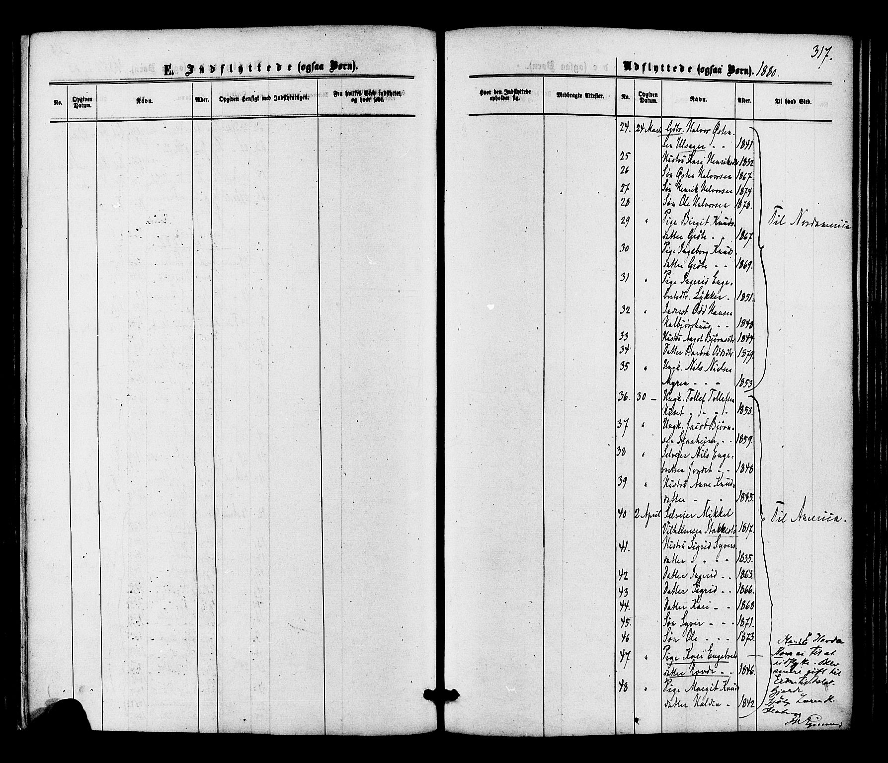Gol kirkebøker, SAKO/A-226/F/Fa/L0004: Ministerialbok nr. I 4, 1876-1886, s. 317