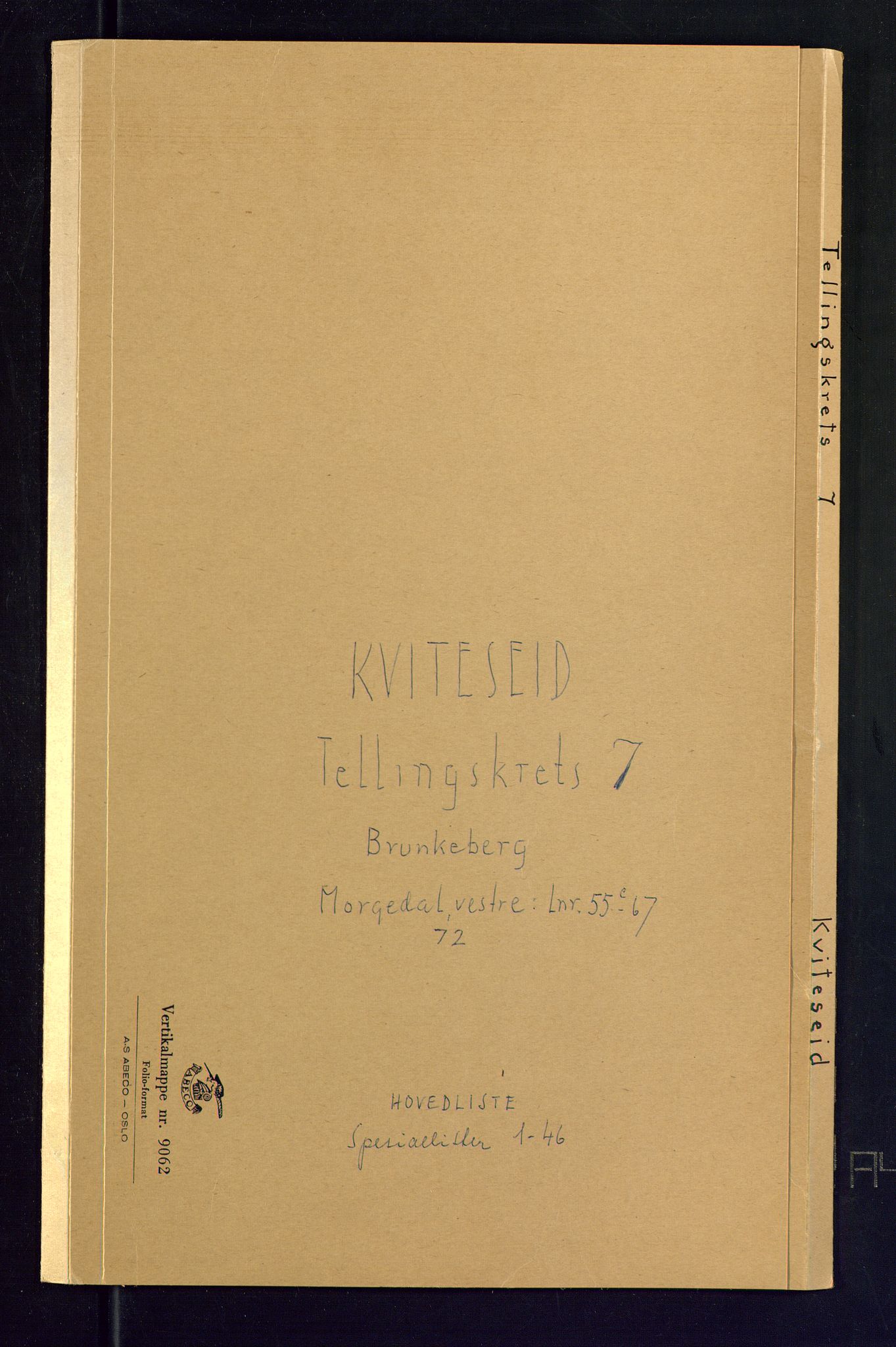 SAKO, Folketelling 1875 for 0829P Kviteseid prestegjeld, 1875, s. 21