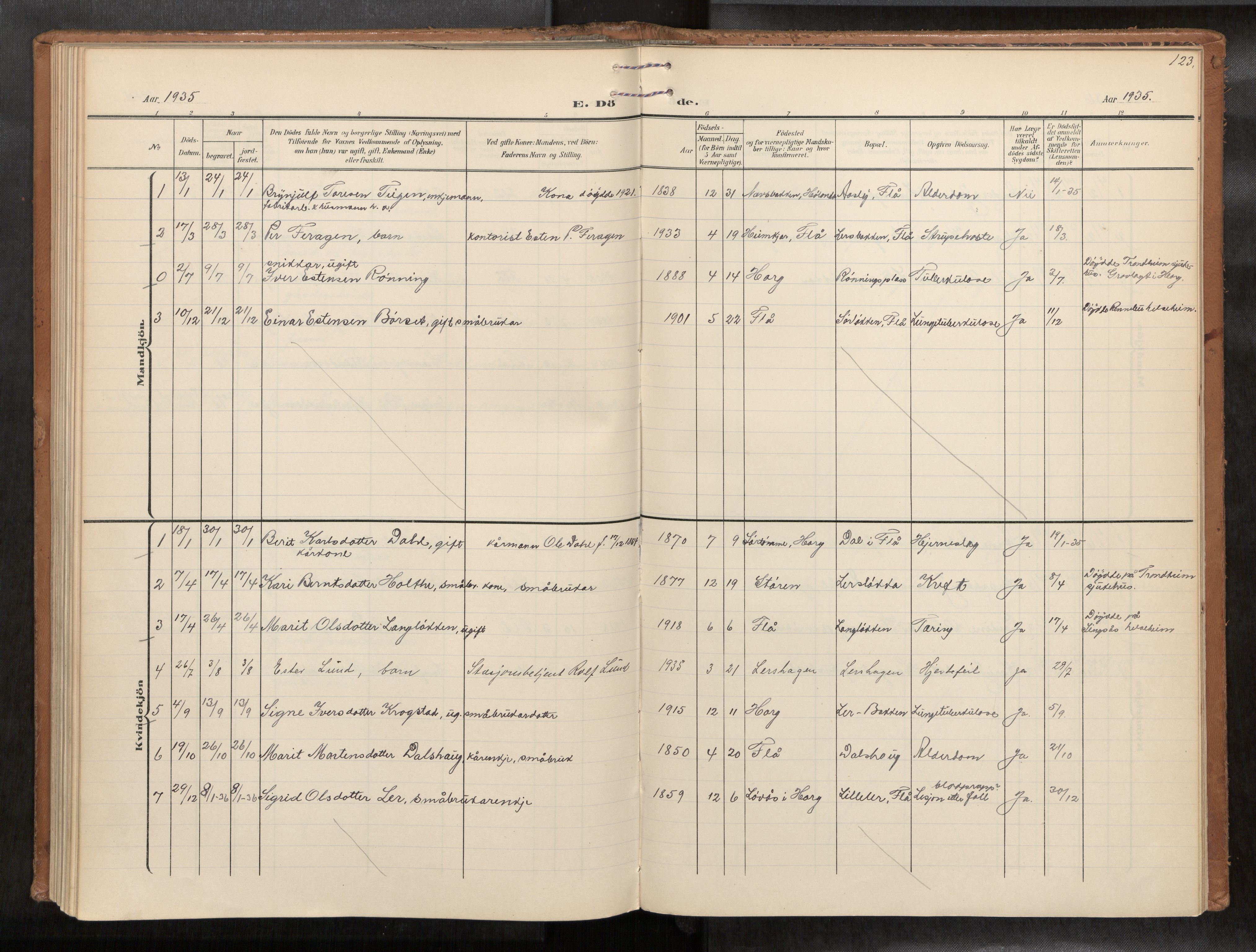 Ministerialprotokoller, klokkerbøker og fødselsregistre - Sør-Trøndelag, SAT/A-1456/693/L1119b: Ministerialbok nr. 693A02, 1906-1936, s. 123